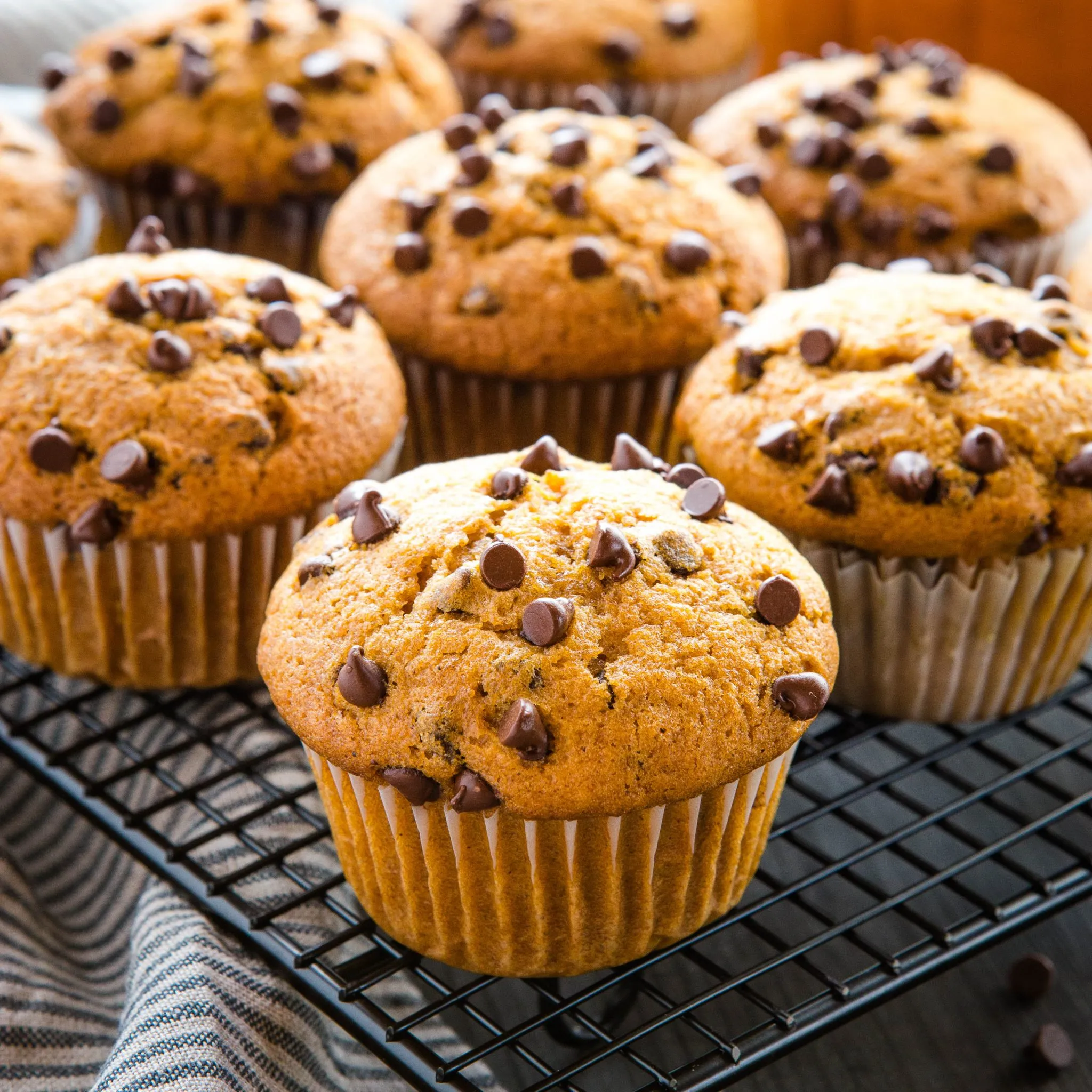 Double Chocolate Chip Pumpkin Muffins