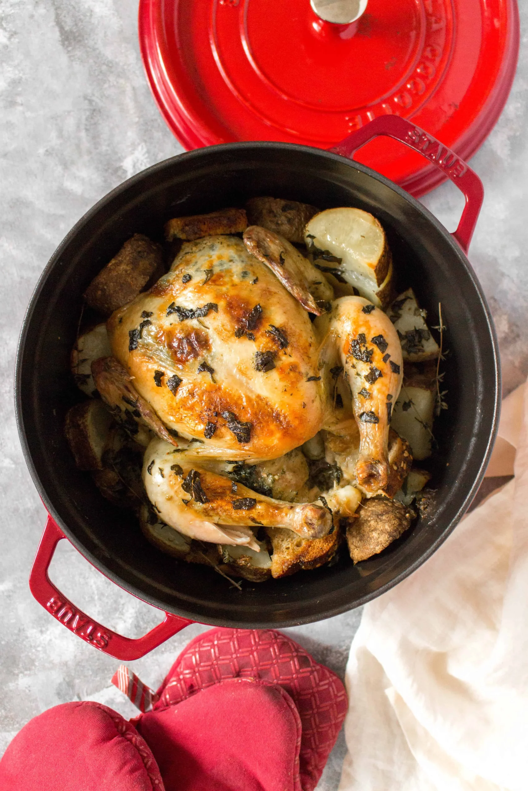 Dutch Oven Chicken Mrdub
