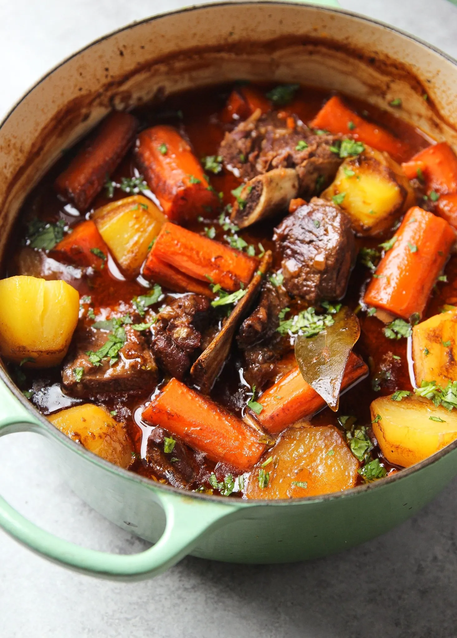 Dutch Oven Venison Stew