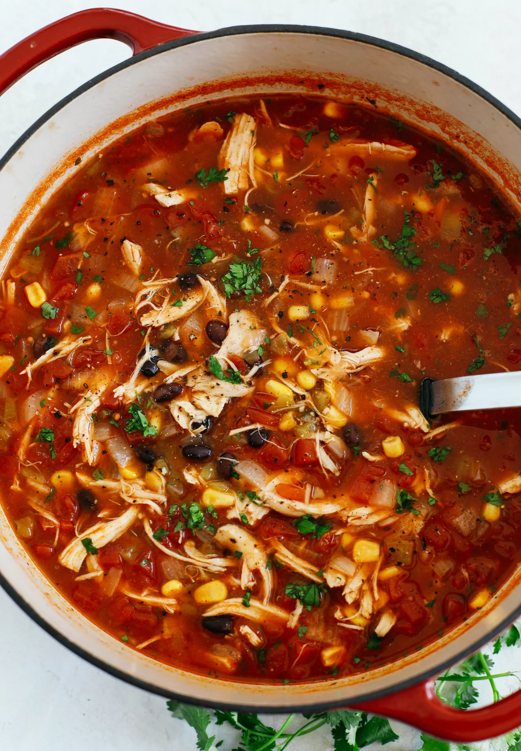 Easiest Ever Tortilla Soup