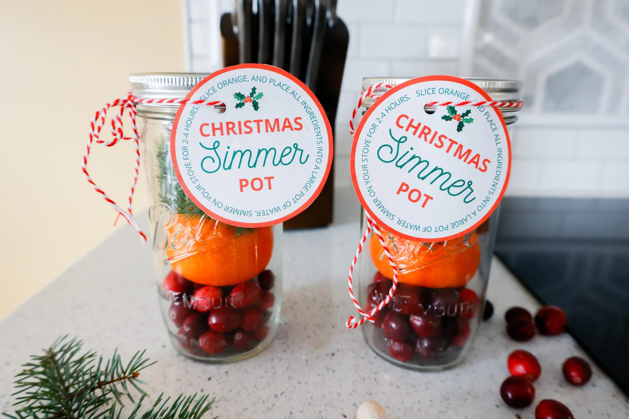 Easy Christmas Simmer Pots