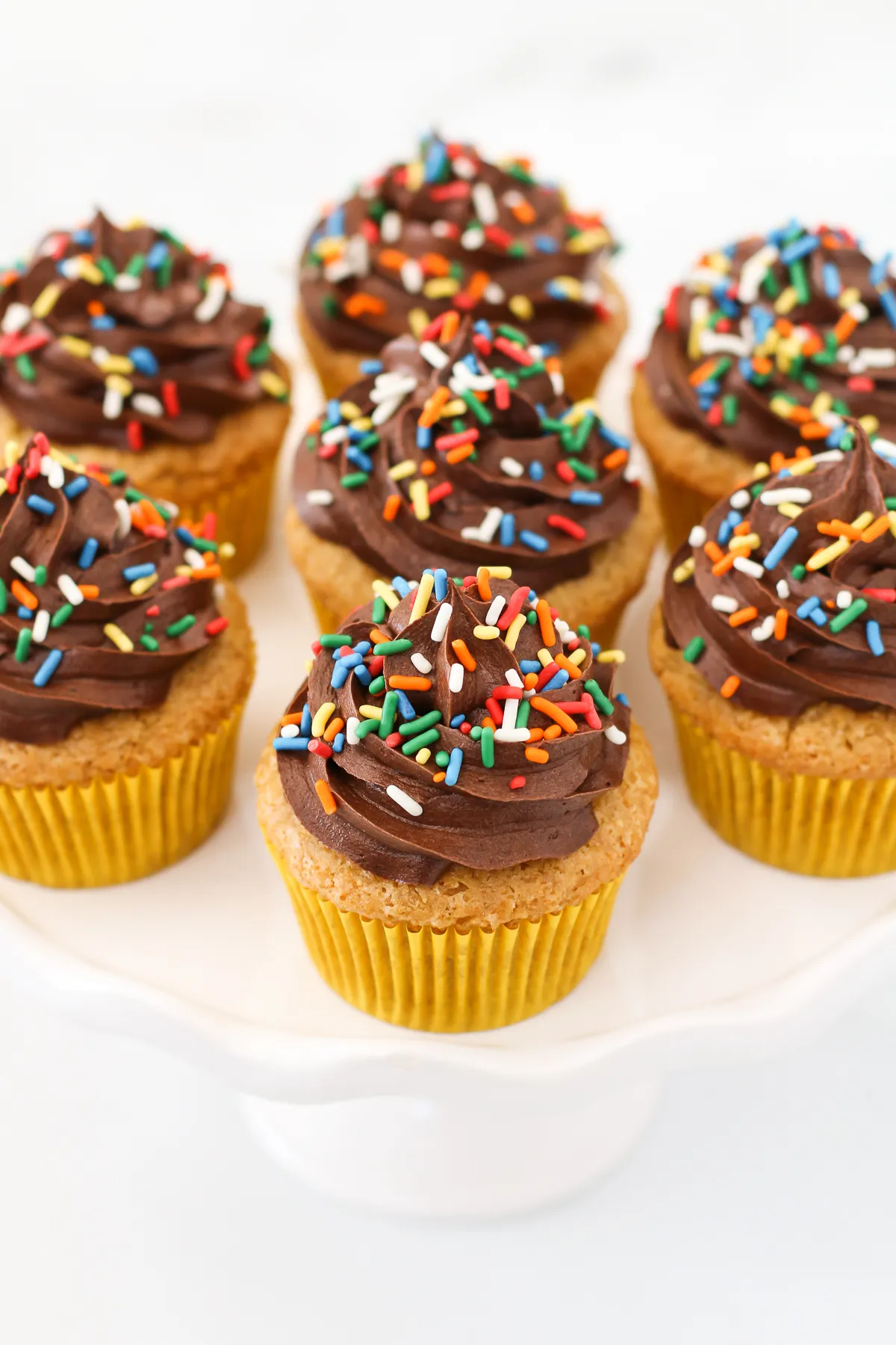 Easy Gluten Free Vanilla Cupcakes with Chocolate Frosting