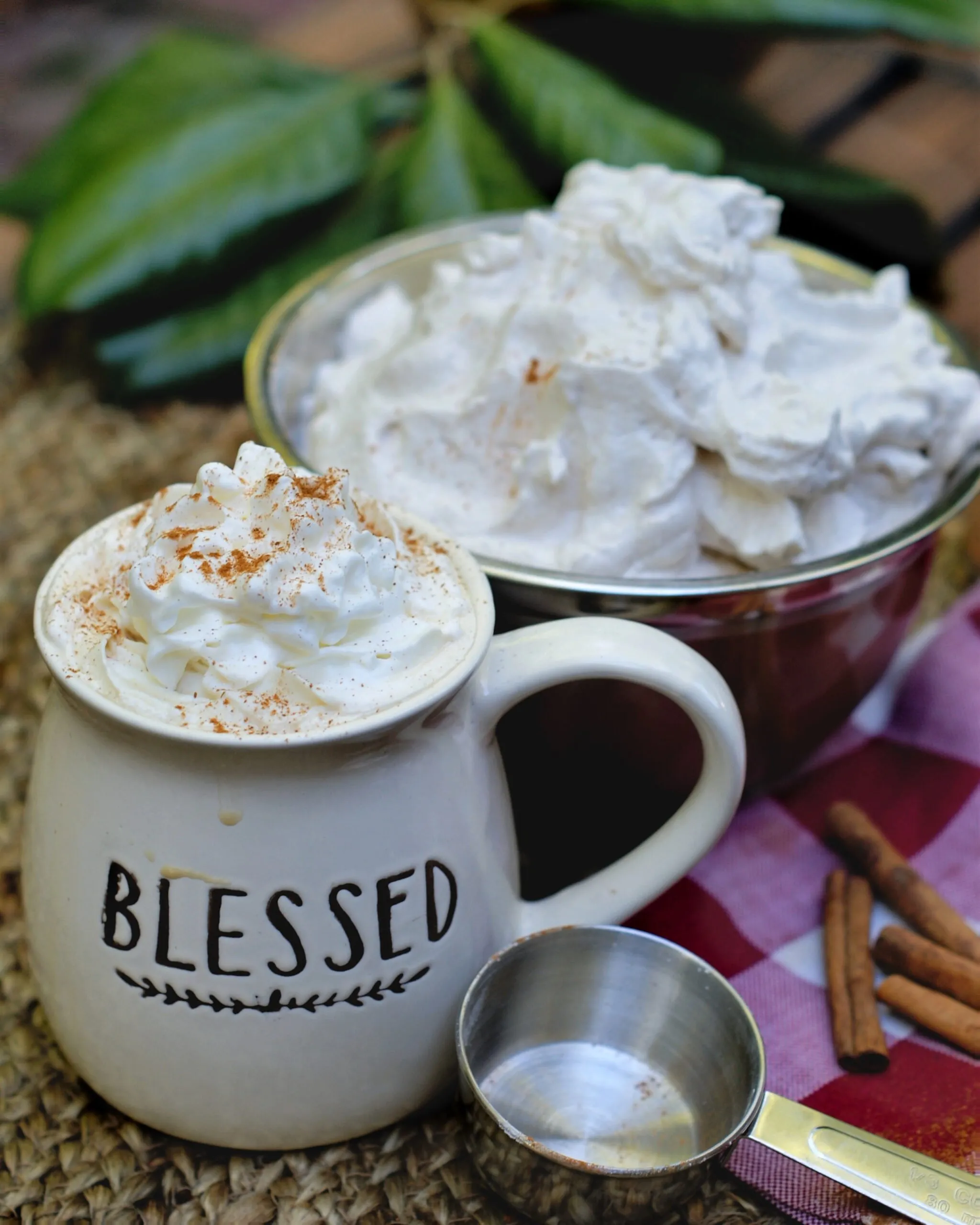 Easy Homemade Cinnamon Whipped Cream