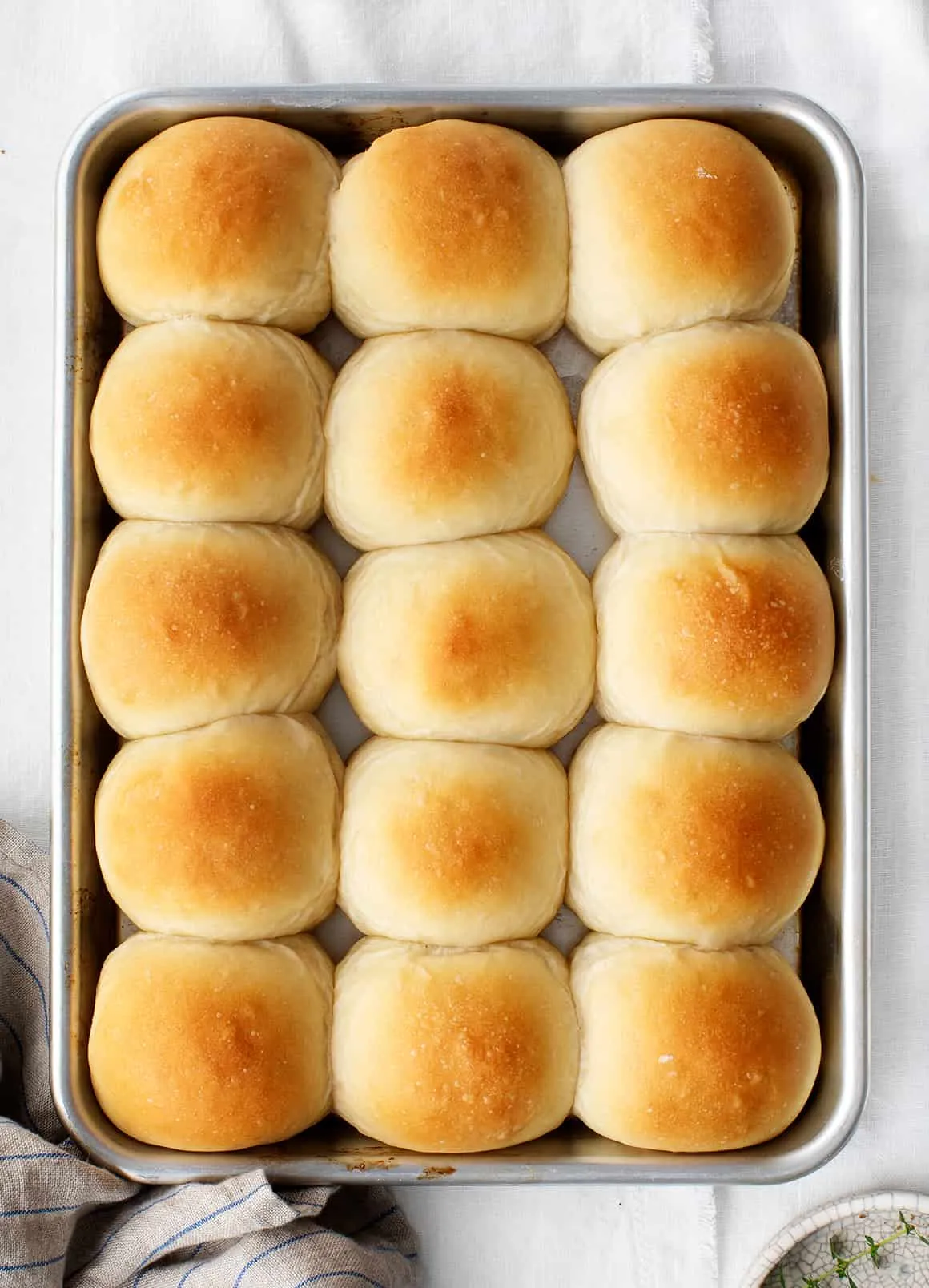 Easy Homemade Dinner Rolls