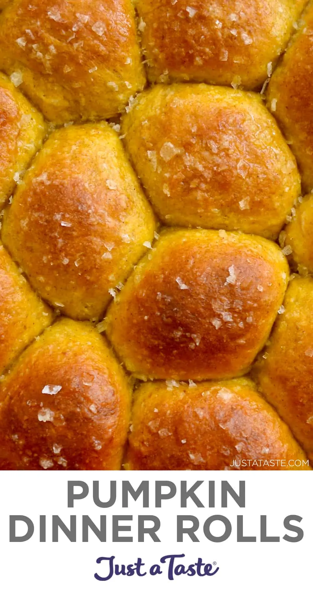 Easy Pumpkin Dinner Rolls