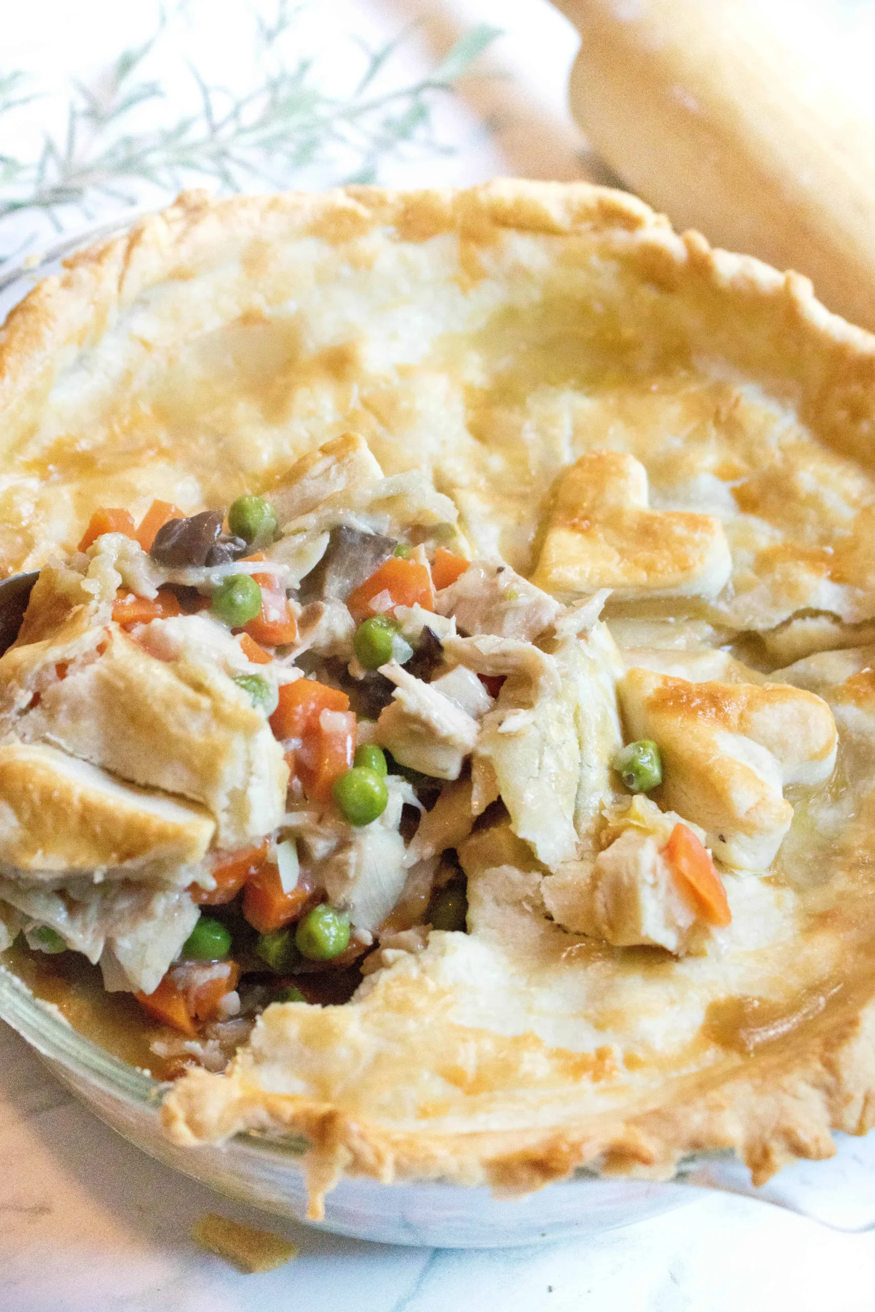 Eileen's Leftover Chicken or Turkey Pot Pie