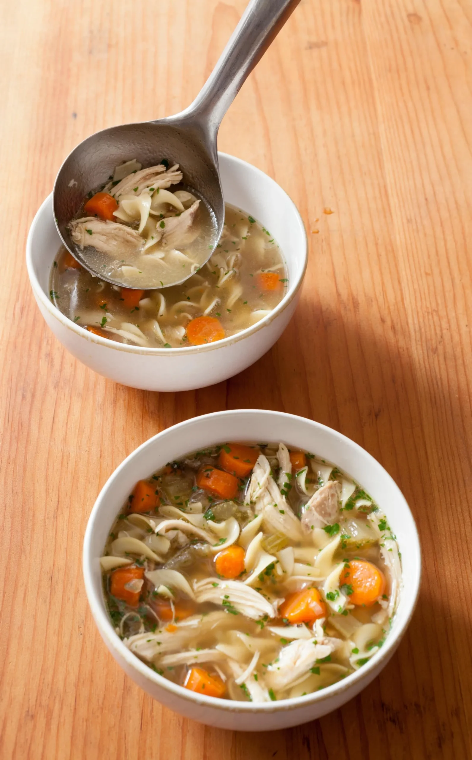 Electric Pressure Cooker Old Fashioned Chicken Noodle Soup