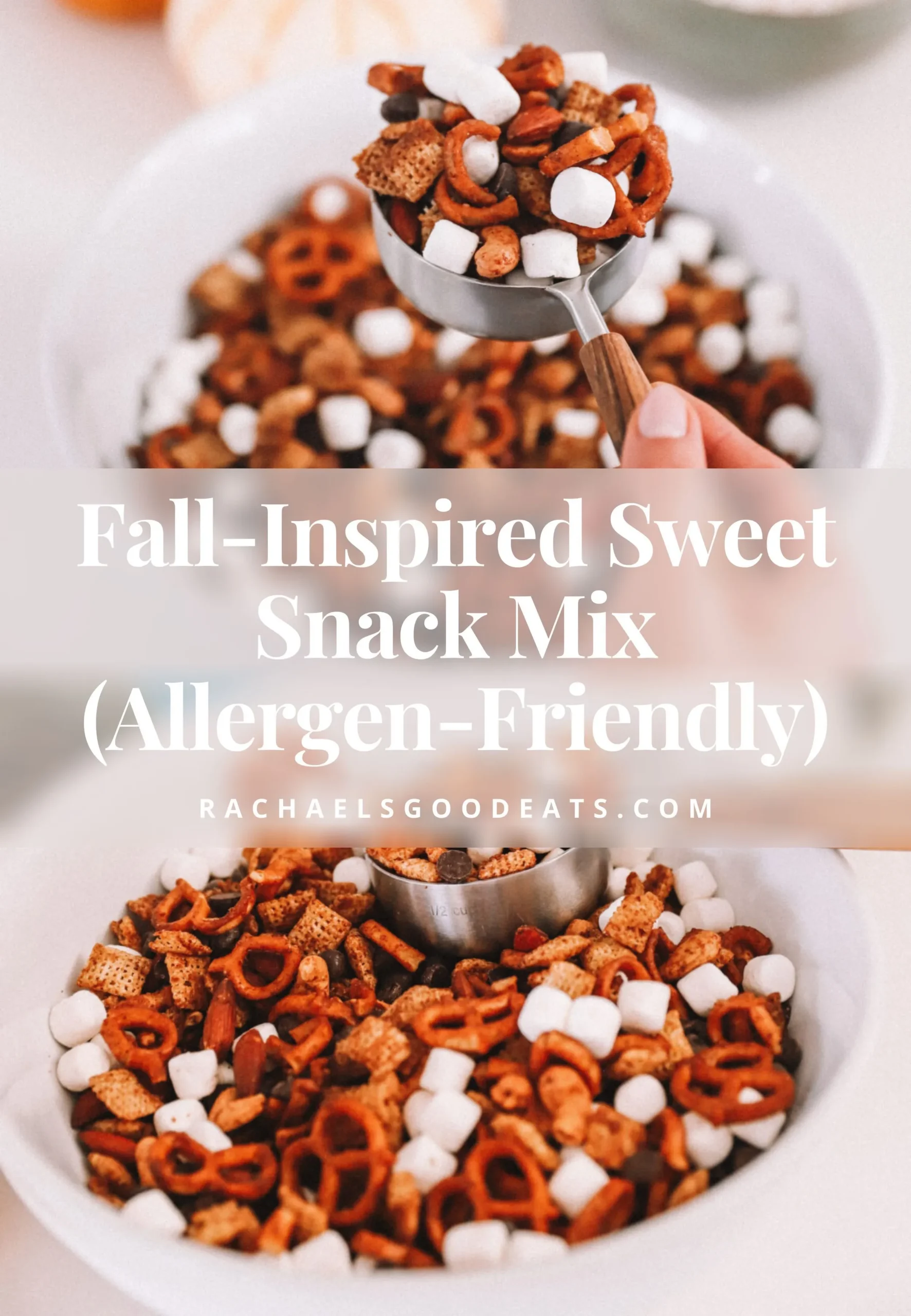Fall Inspired Sweet Snack Mix (Allergen Friendly)