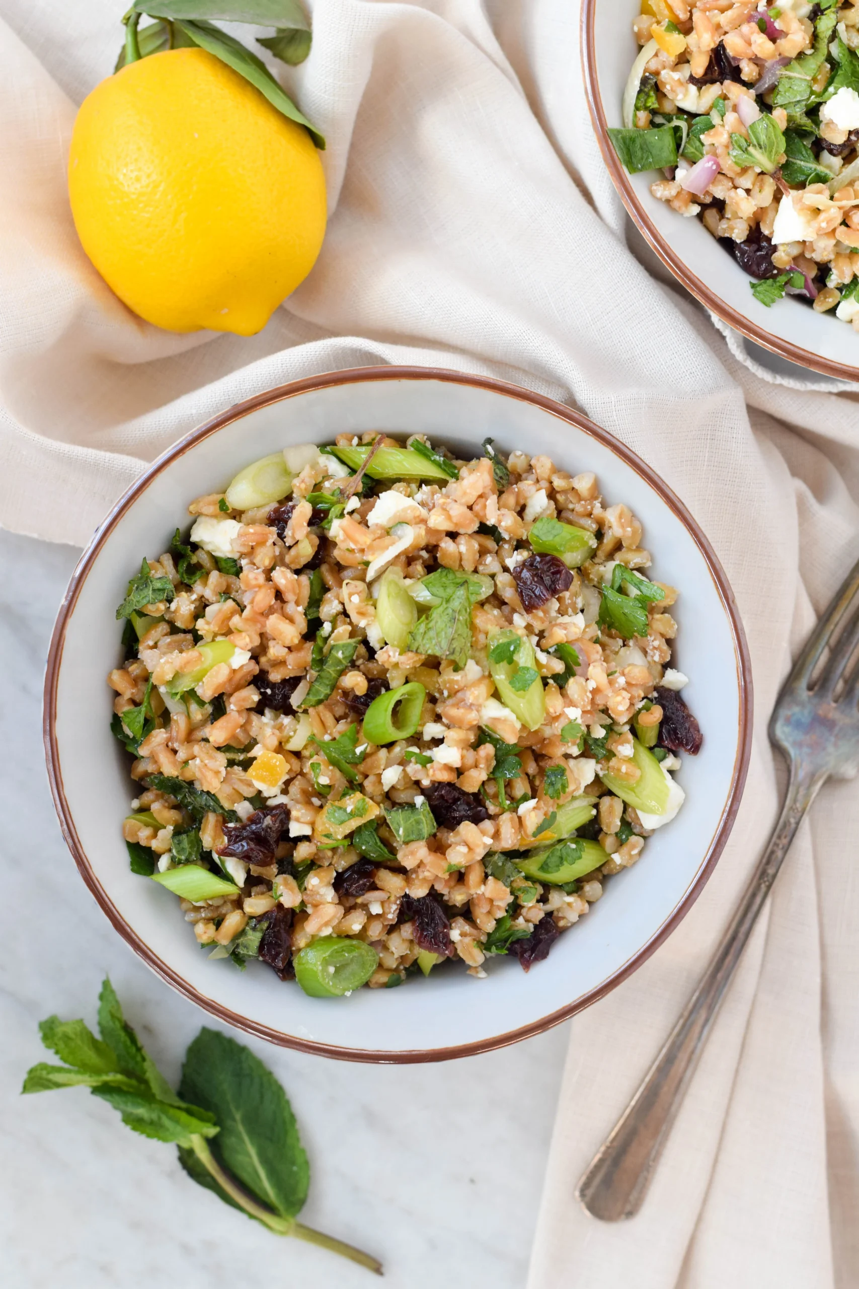 Farro White Bean and Preserved Lemon Salad