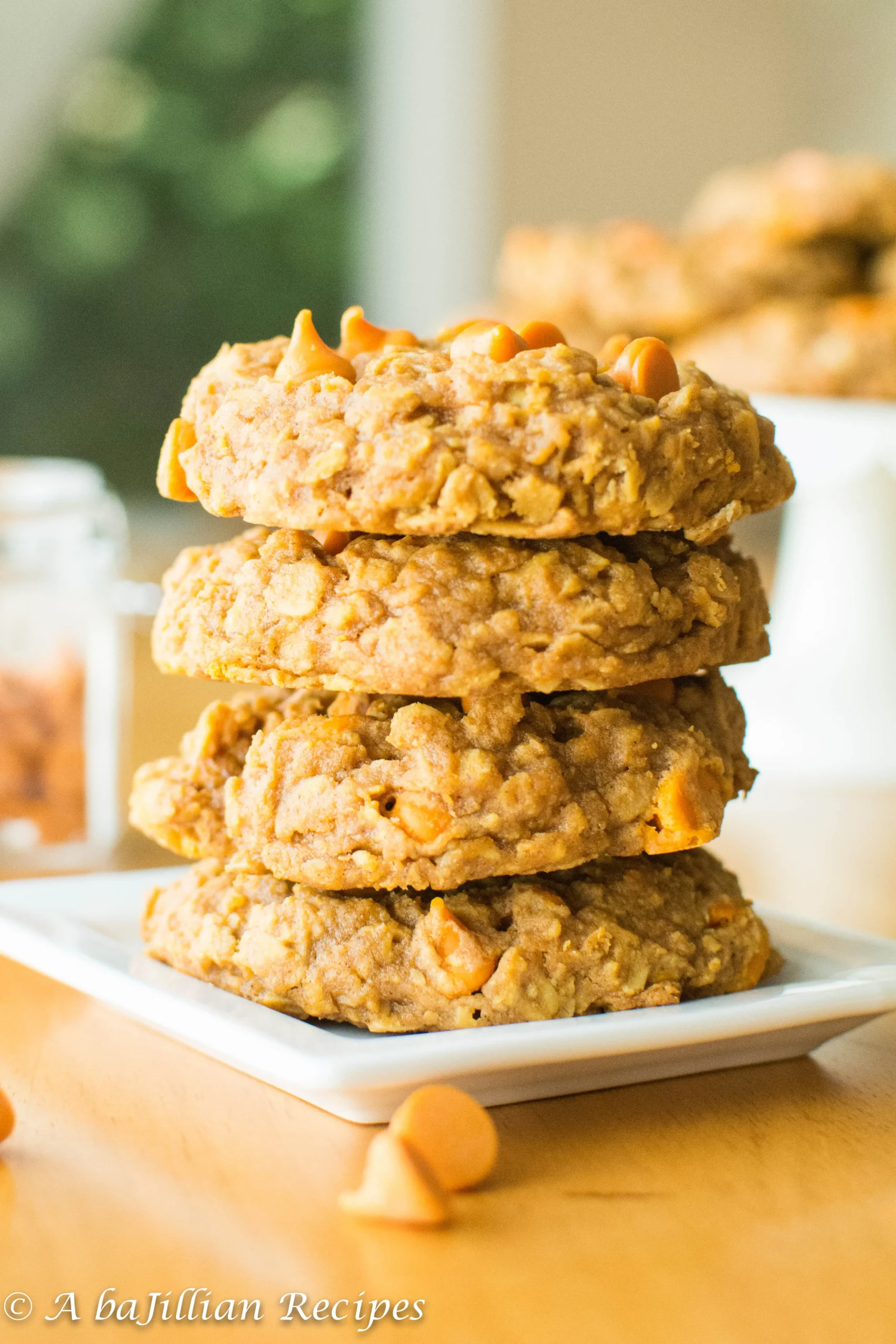 Favorite Pumpkin Oatmeal Cookies