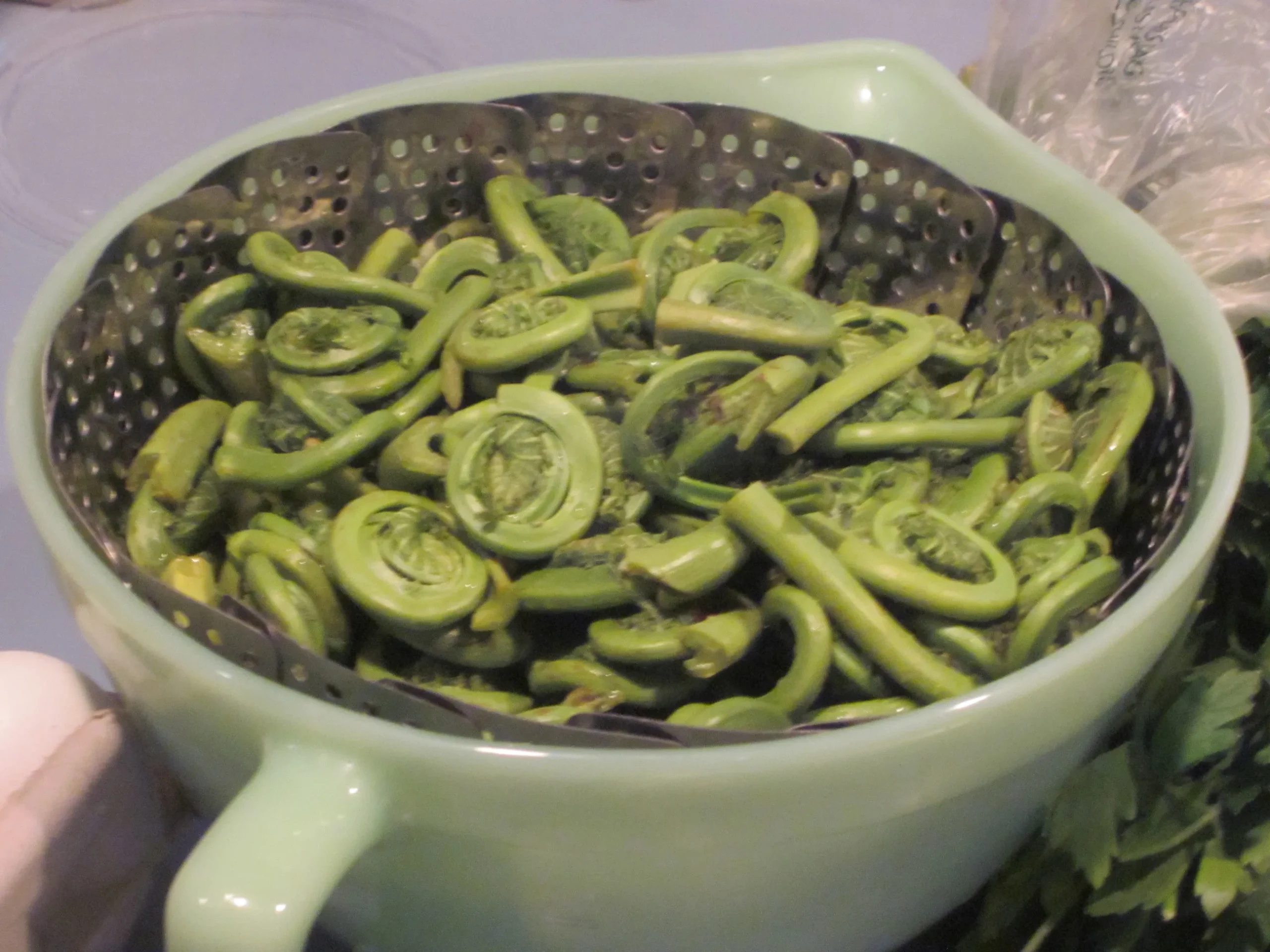 Fiddleheads Steamed in Lemon Oil