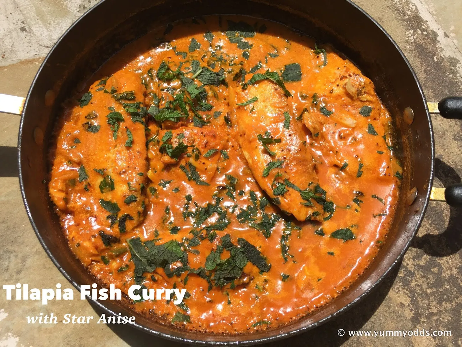 Fish Curry with Star Anise