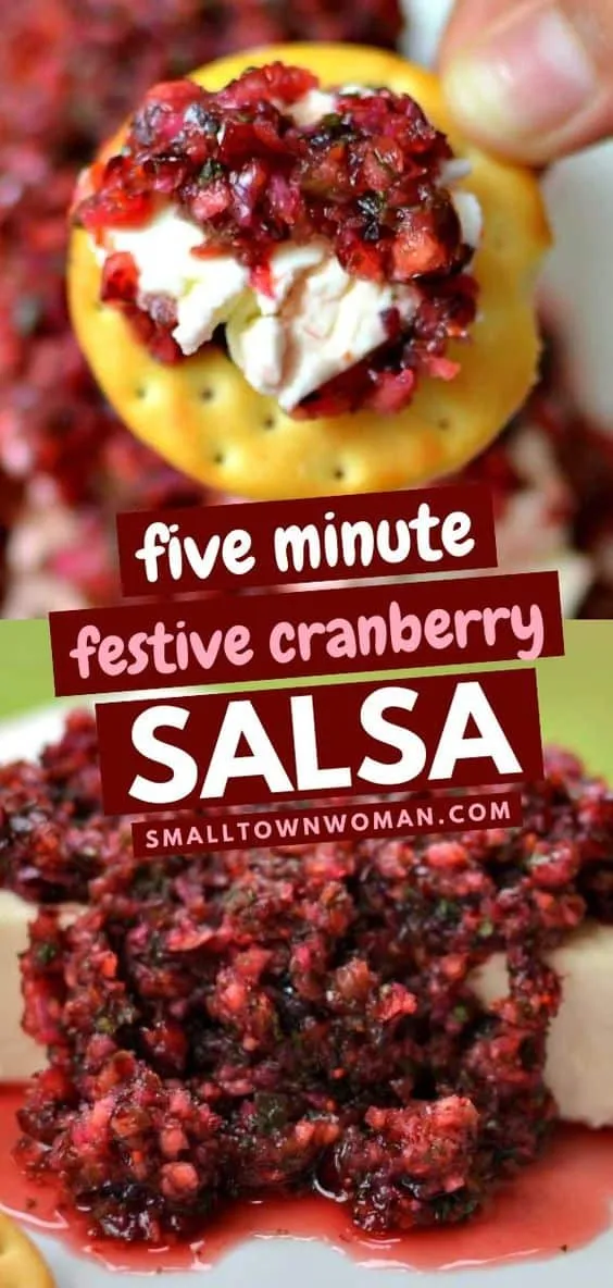 Five Minute Festive Cranberry Jalapeno Salsa