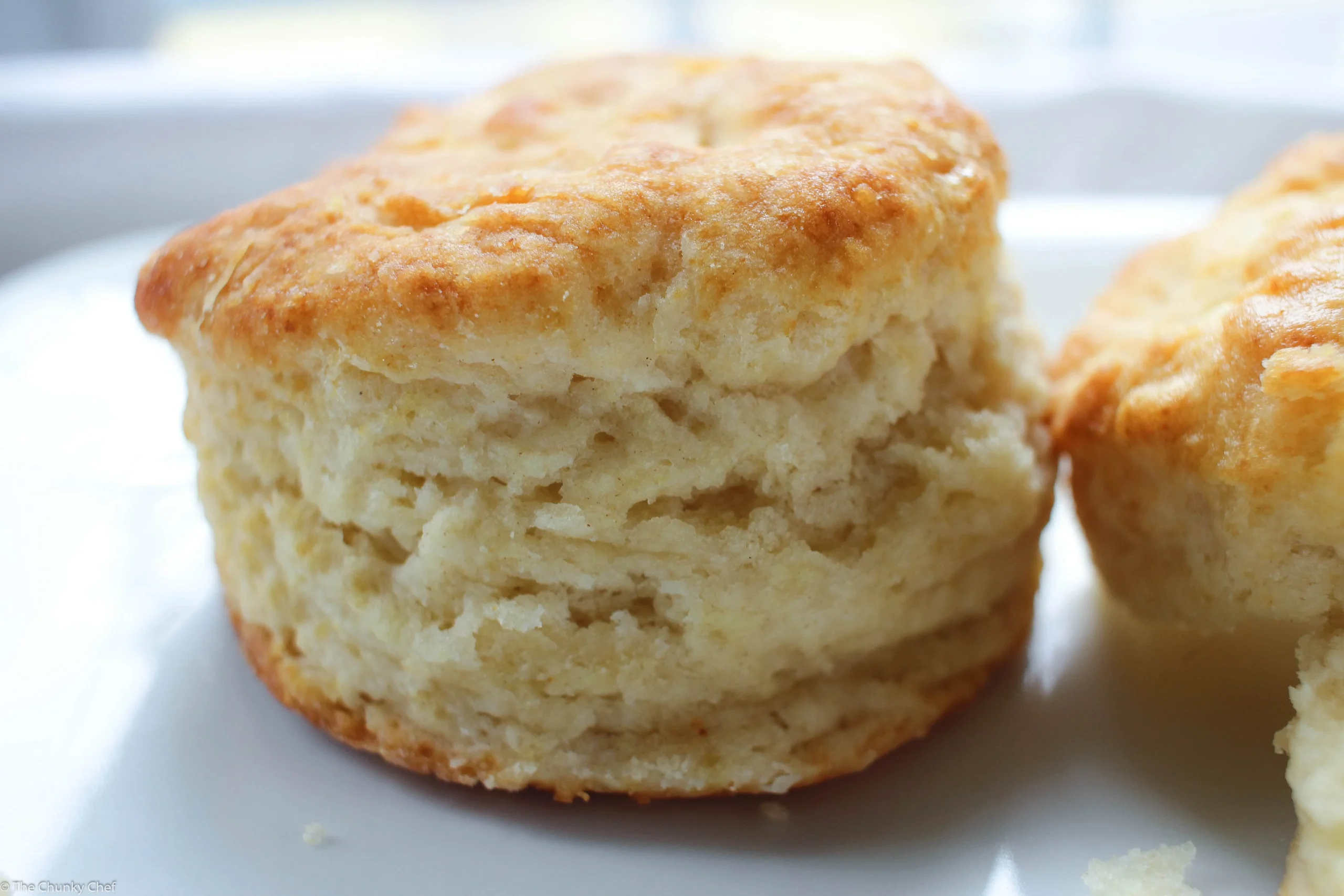 Fluffy Homemade Biscuits Made with Milk