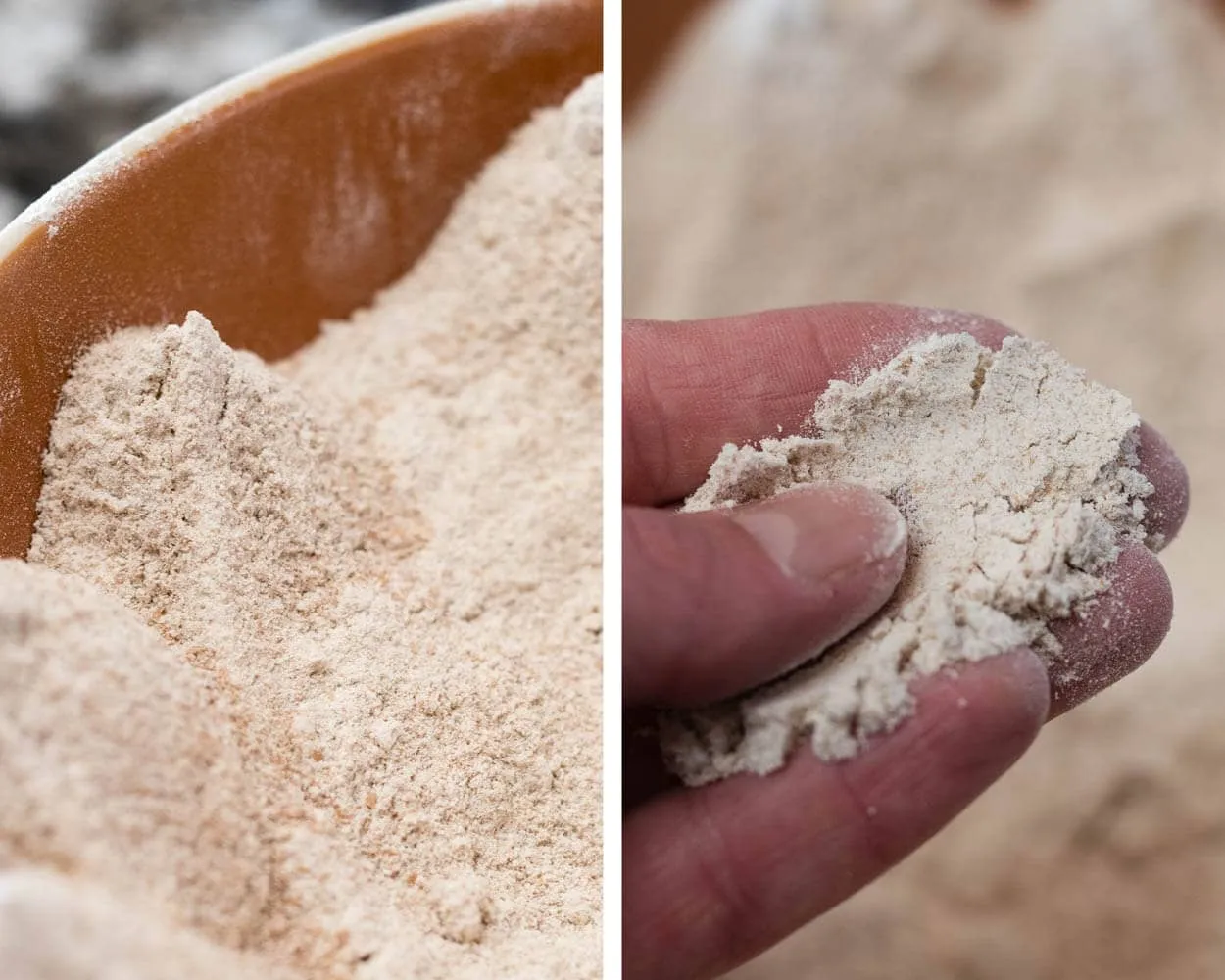 Fresh Milled Whole Wheat Walnut Sourdough