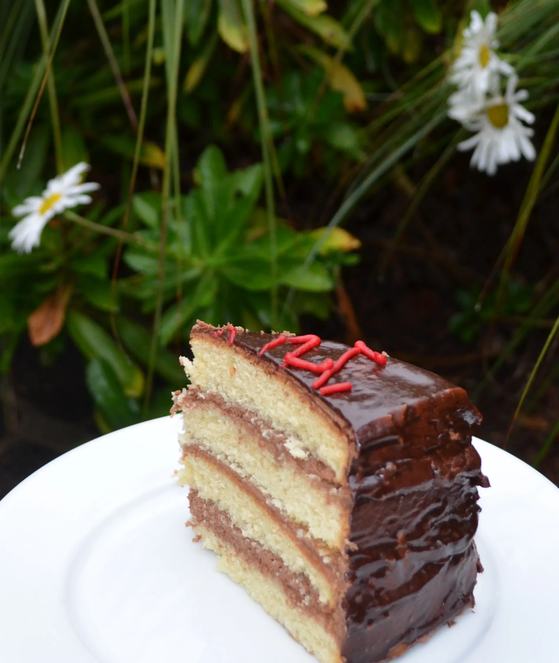 Gluten Free Vanilla Cake with Chocolate Buttercream Frosting