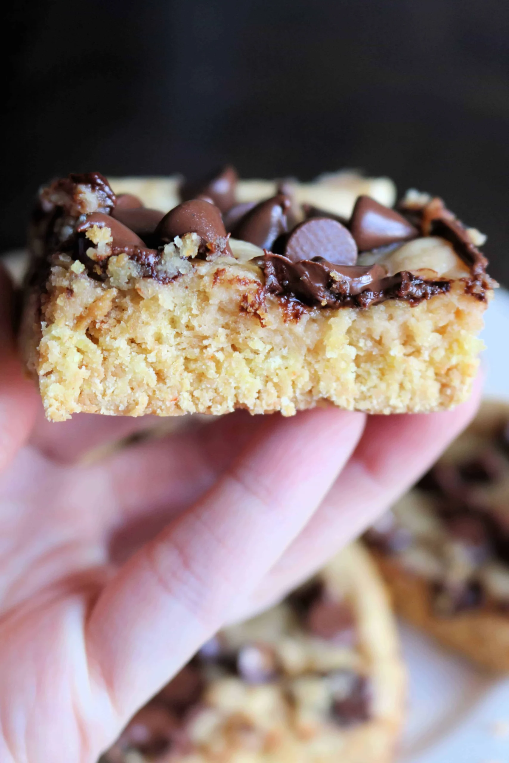 Gooey Peanut Butter Chocolate Chip Cookie Bars