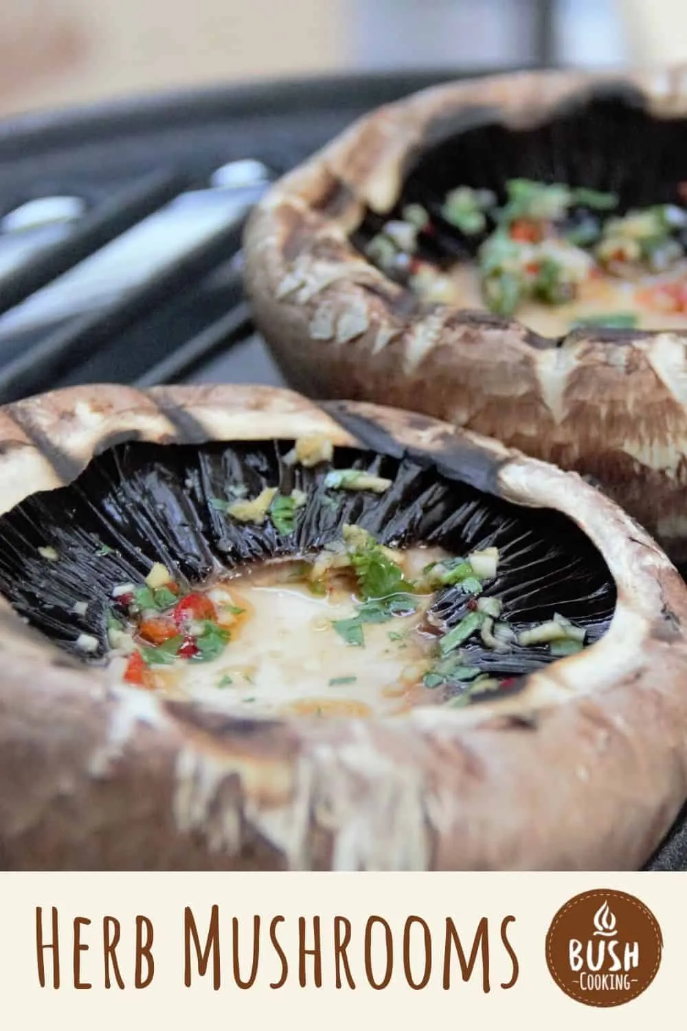 Grilled Herbed Mushrooms in Cold Tomato Dress