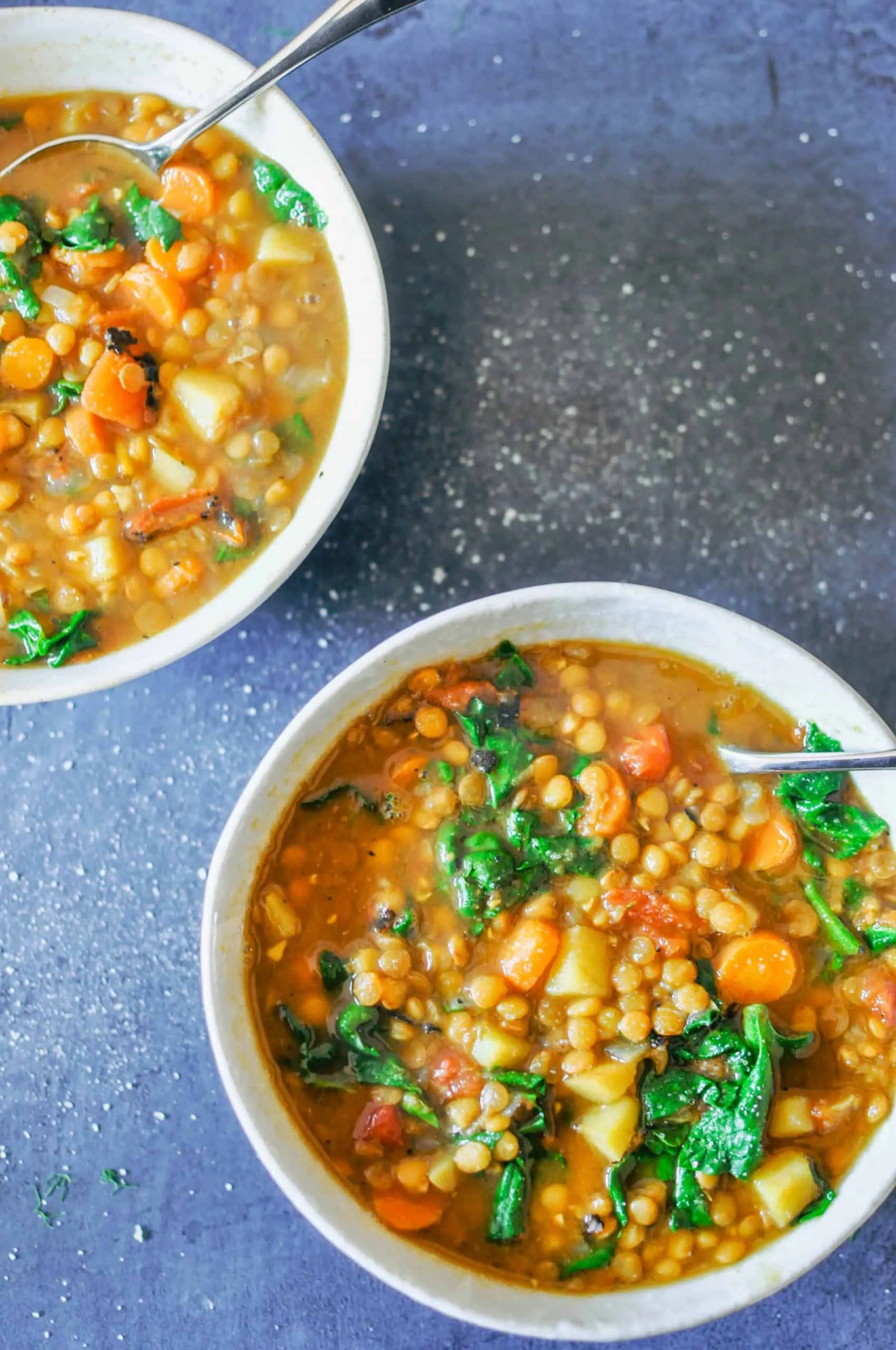 Healthy Lentil Vegetable Soup