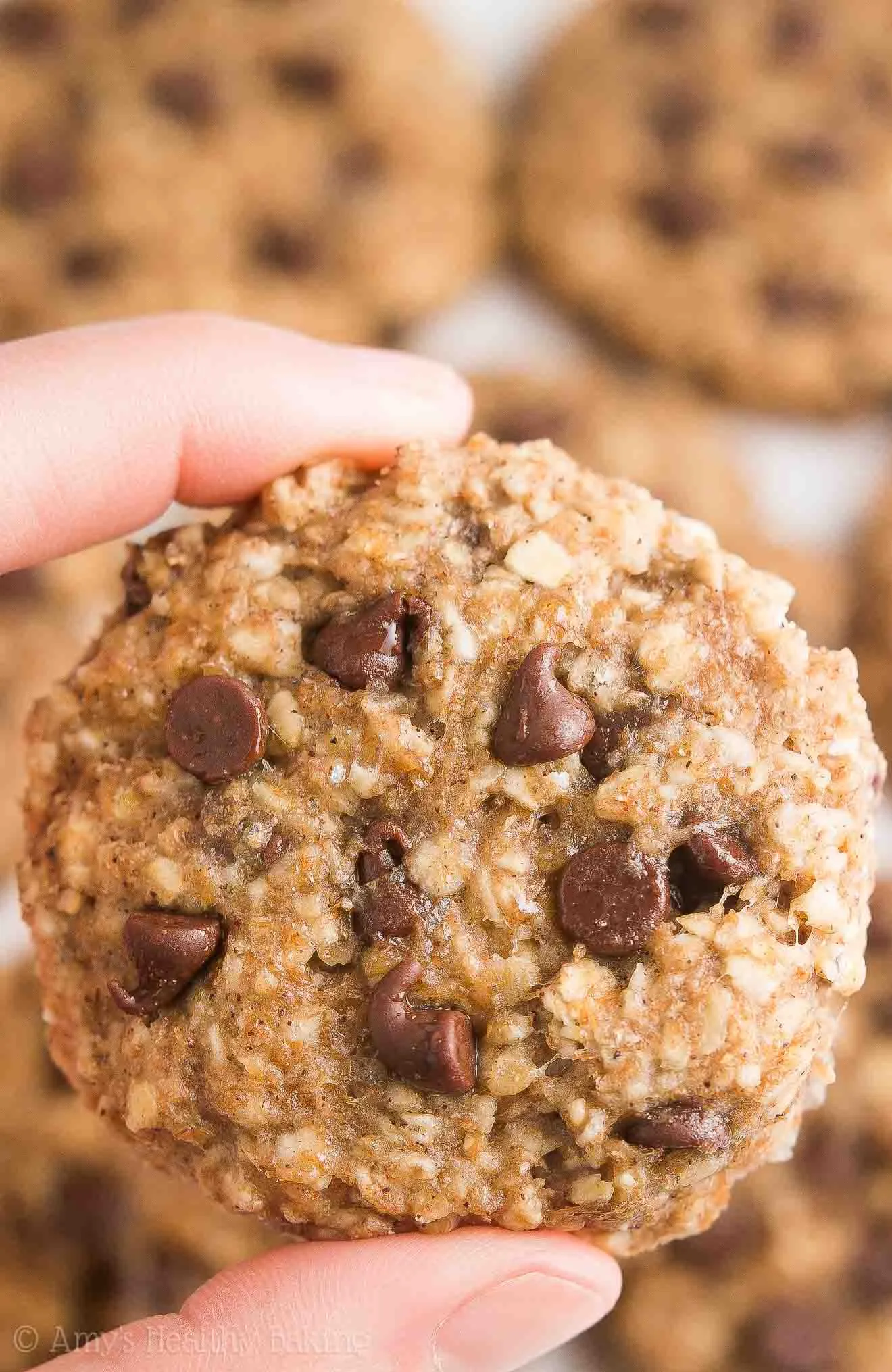 Healthy Oatmeal Breakfast Cookies with Chocolate Chips