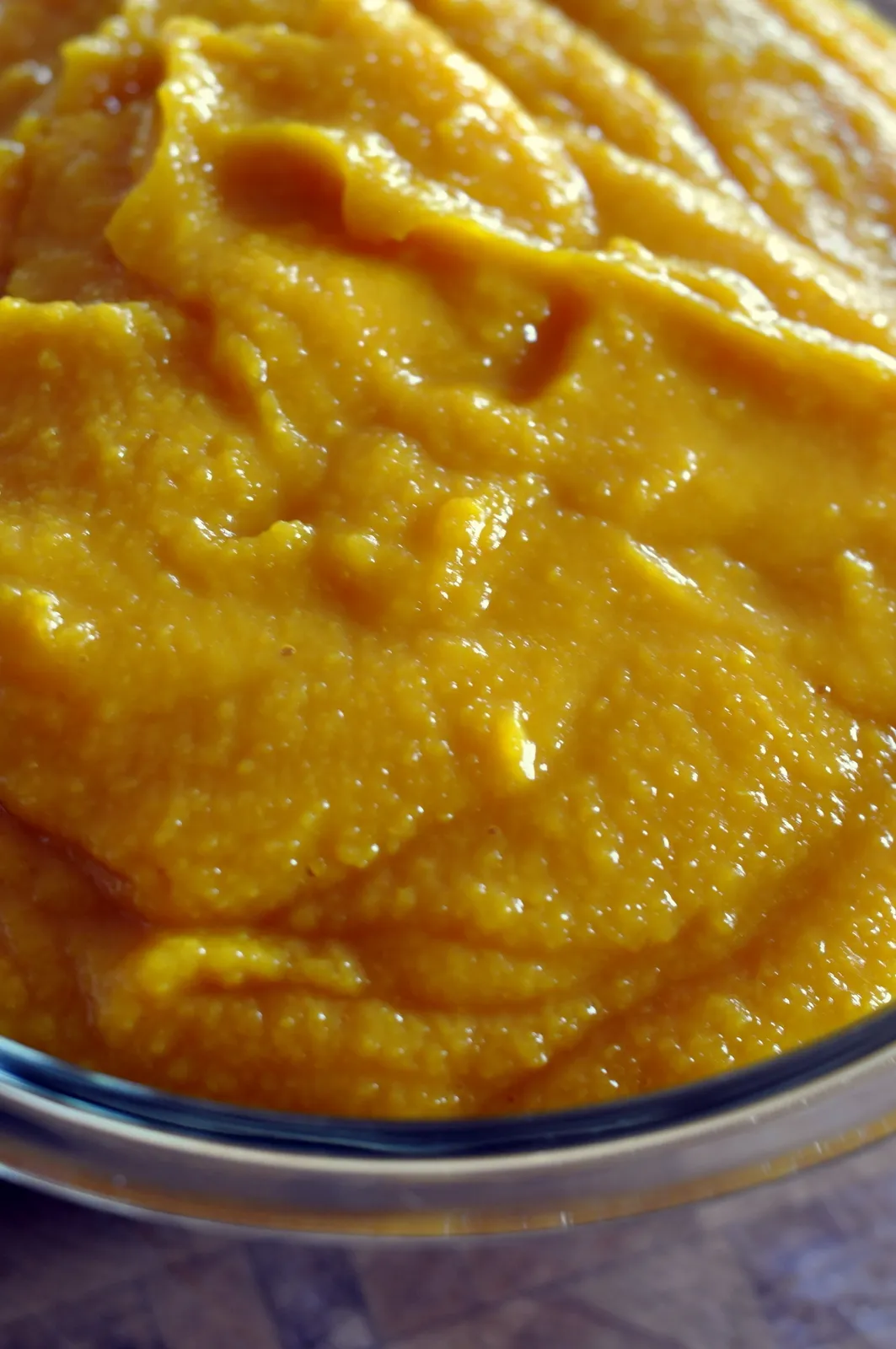 Homemade Baby Food Butternut Squash Puree