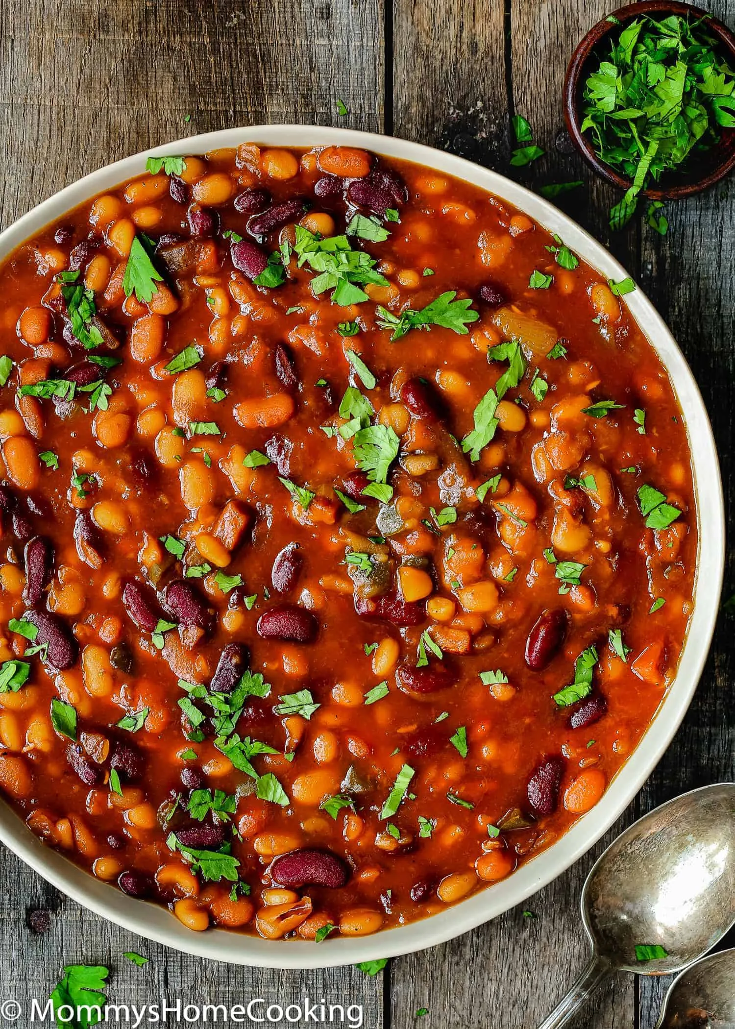 Homemade Baked Beans Instant Pot