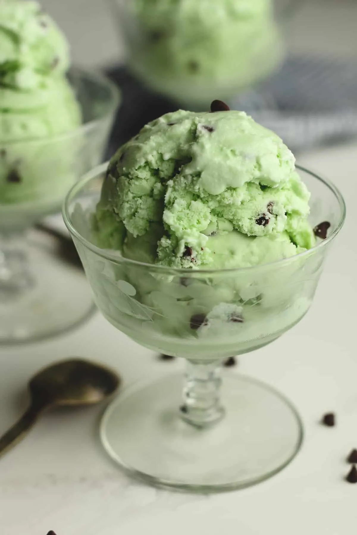 Homemade Mint Chip Ice Cream