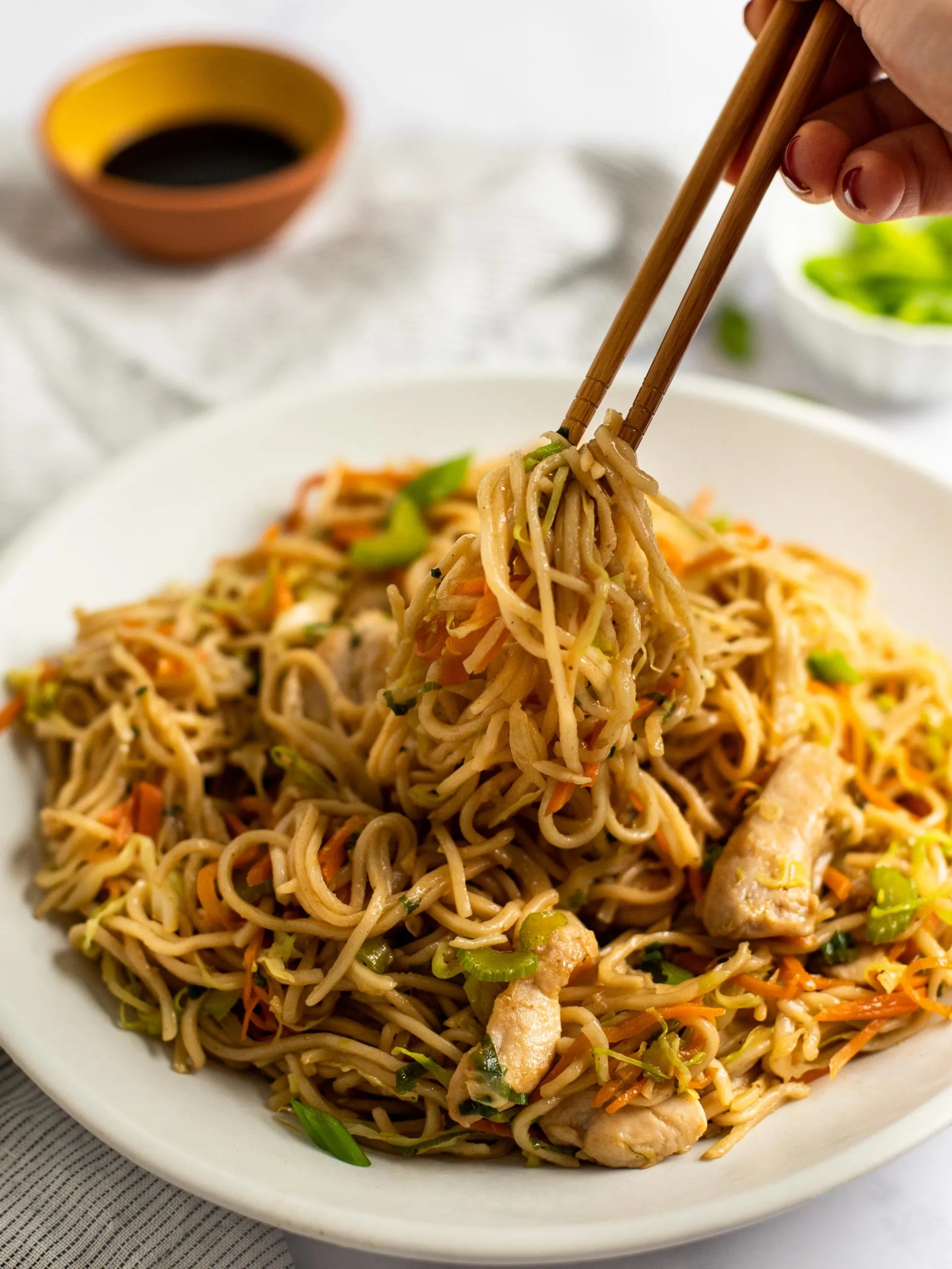 Homestyle Chicken Chow Mein Noodles