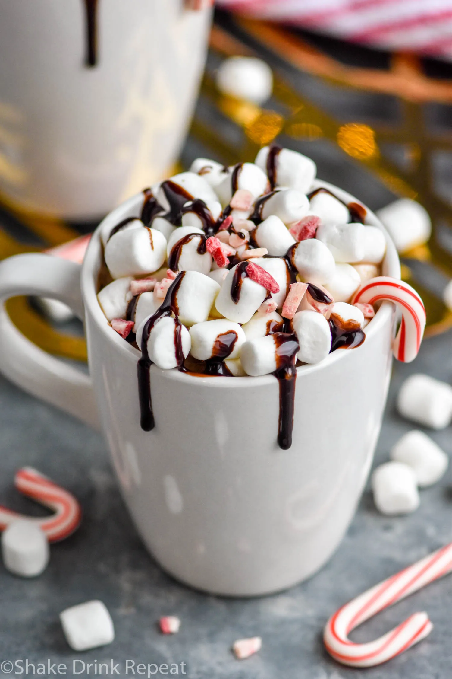 Hot Chocolate with Peppermint Whipped Cream