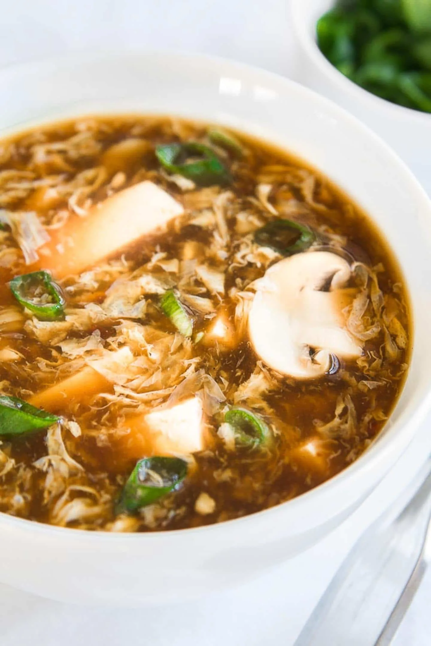 Hot and Sour Soup