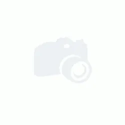 Hyatt Chinese Peanut Chicken by Regency Caterers