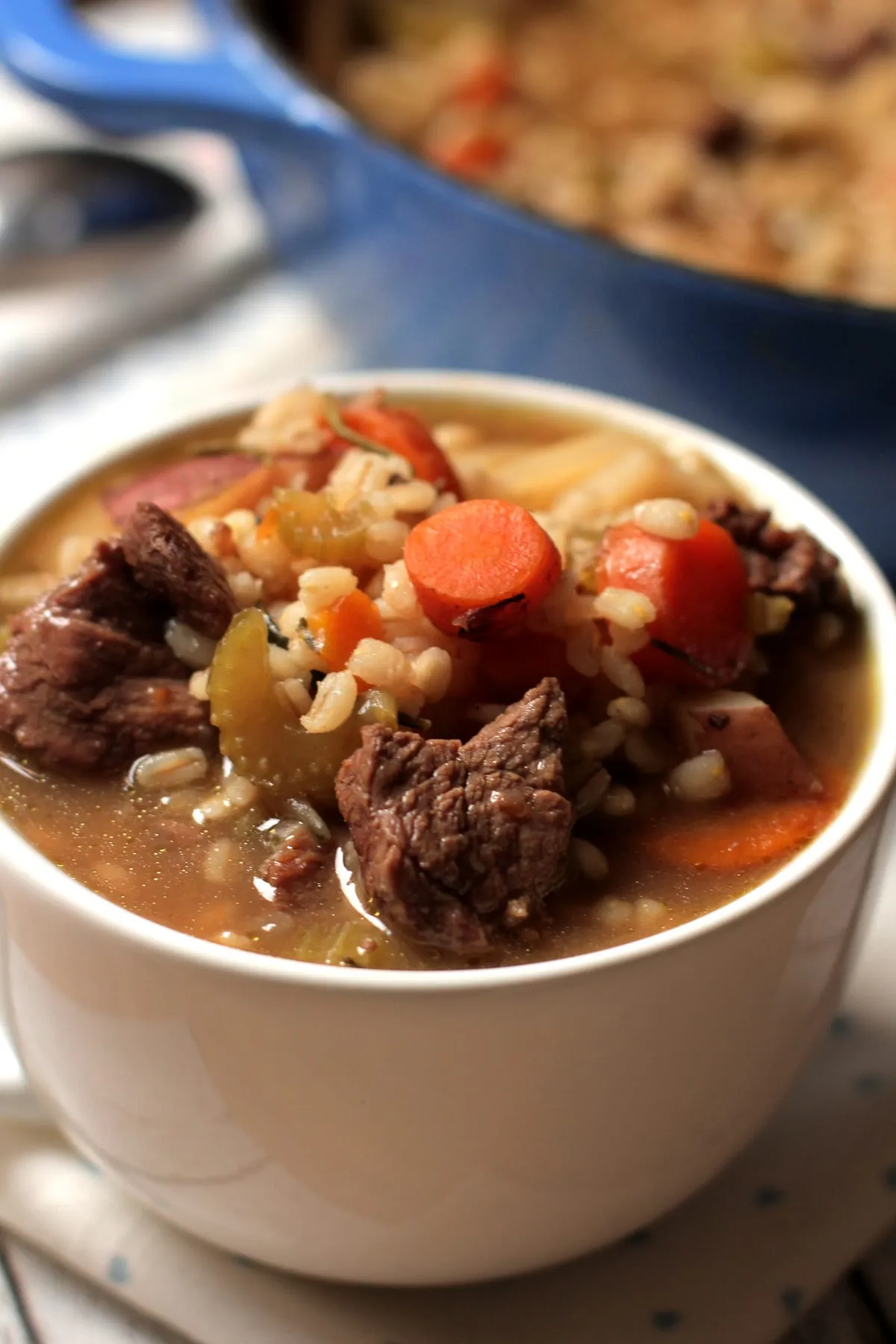 Instant Pot Beef Barley Stew