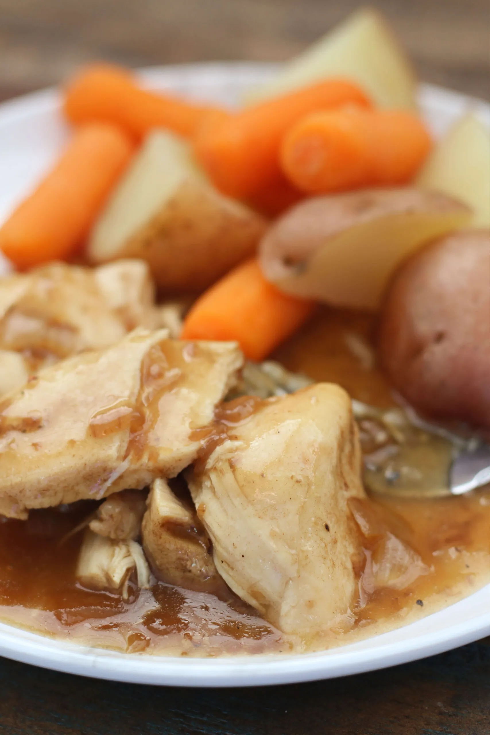 Instant Pot Dixie Chicken