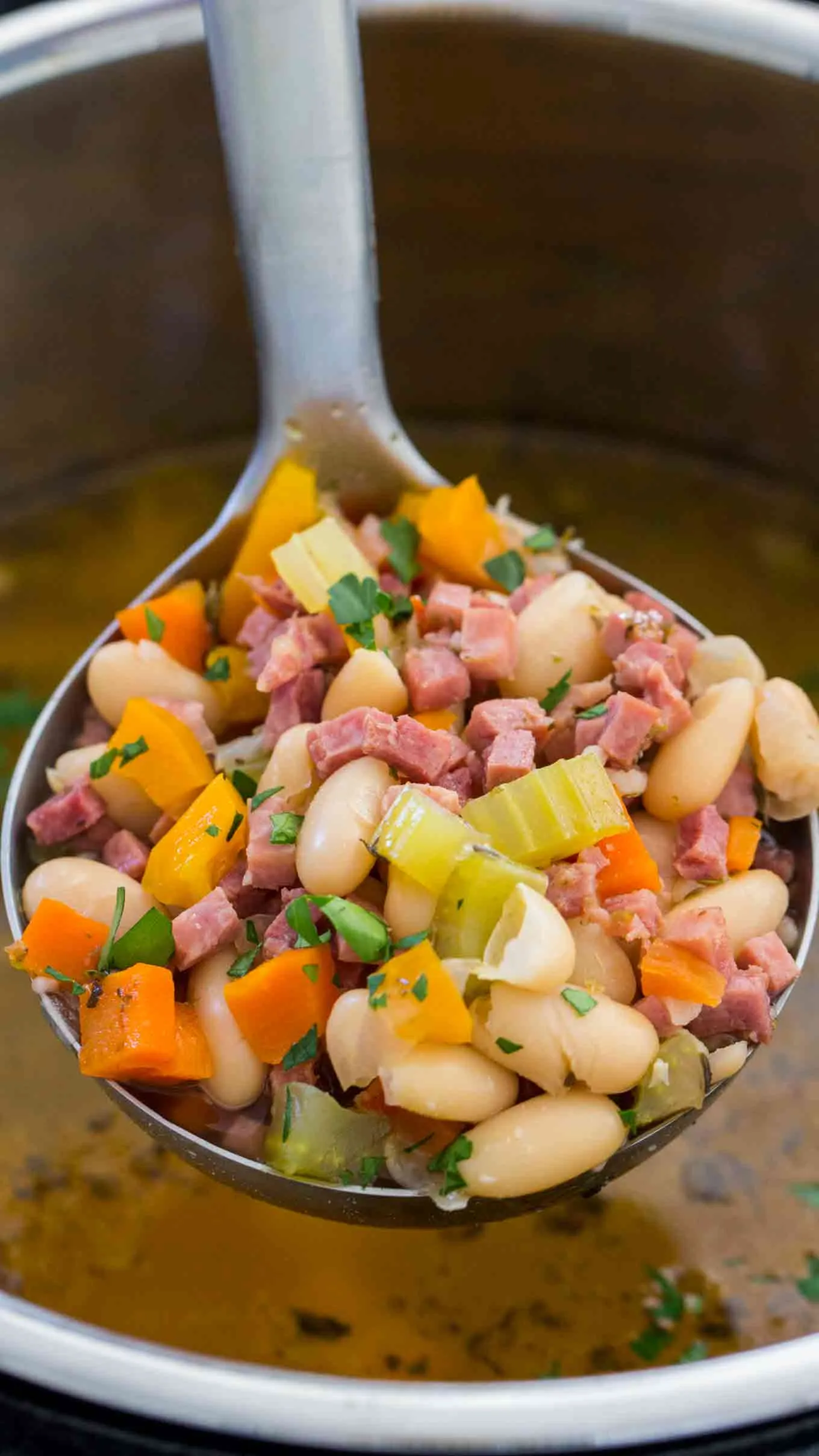 Instant Pot Ham and Beans