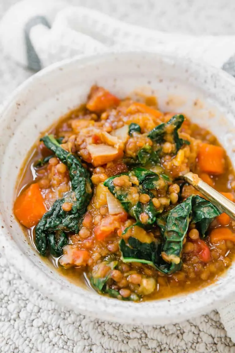 Instant Pot Lentil Soup with Squash