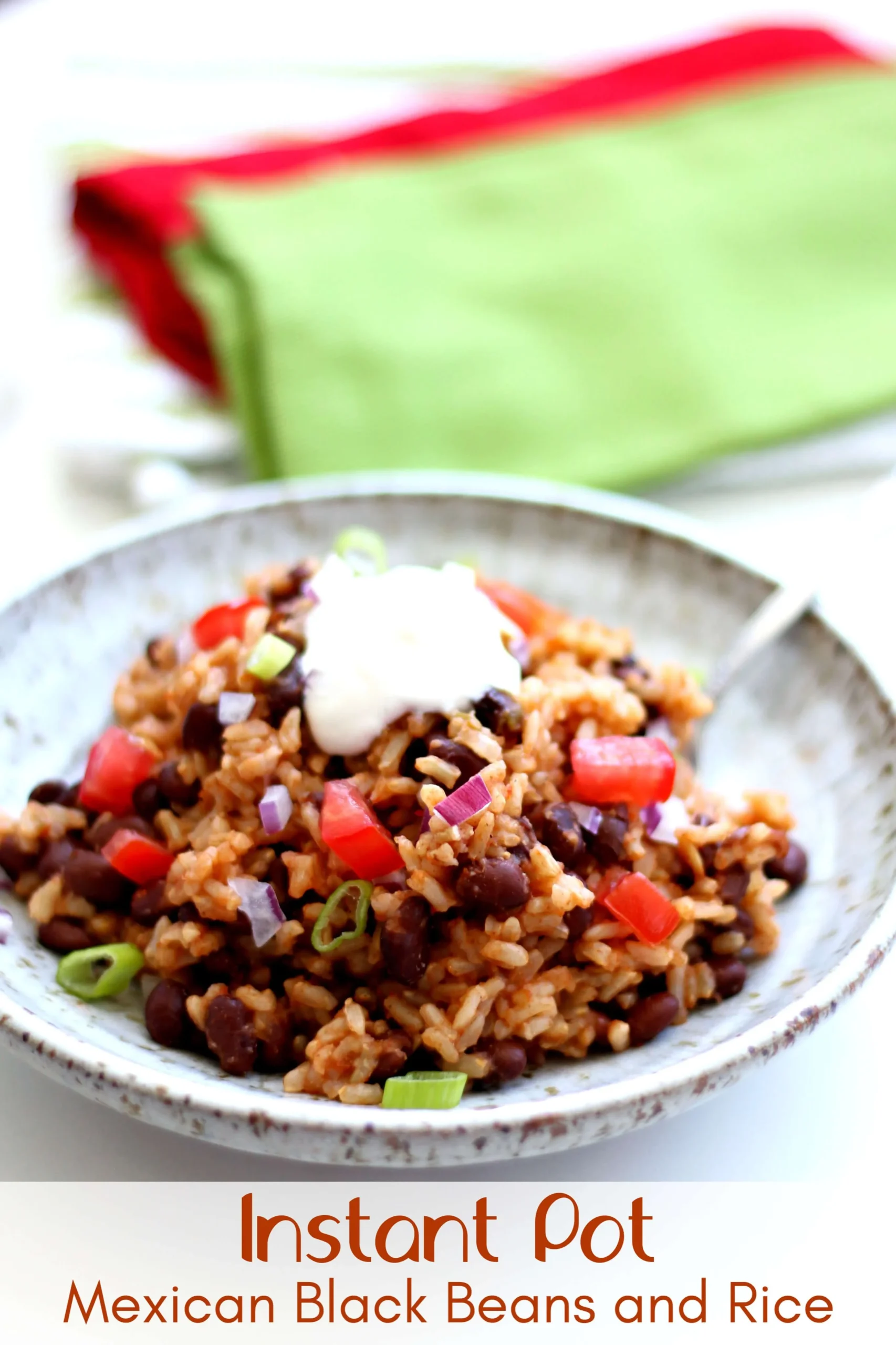 Instant Pot Mexican Black Beans and Rice
