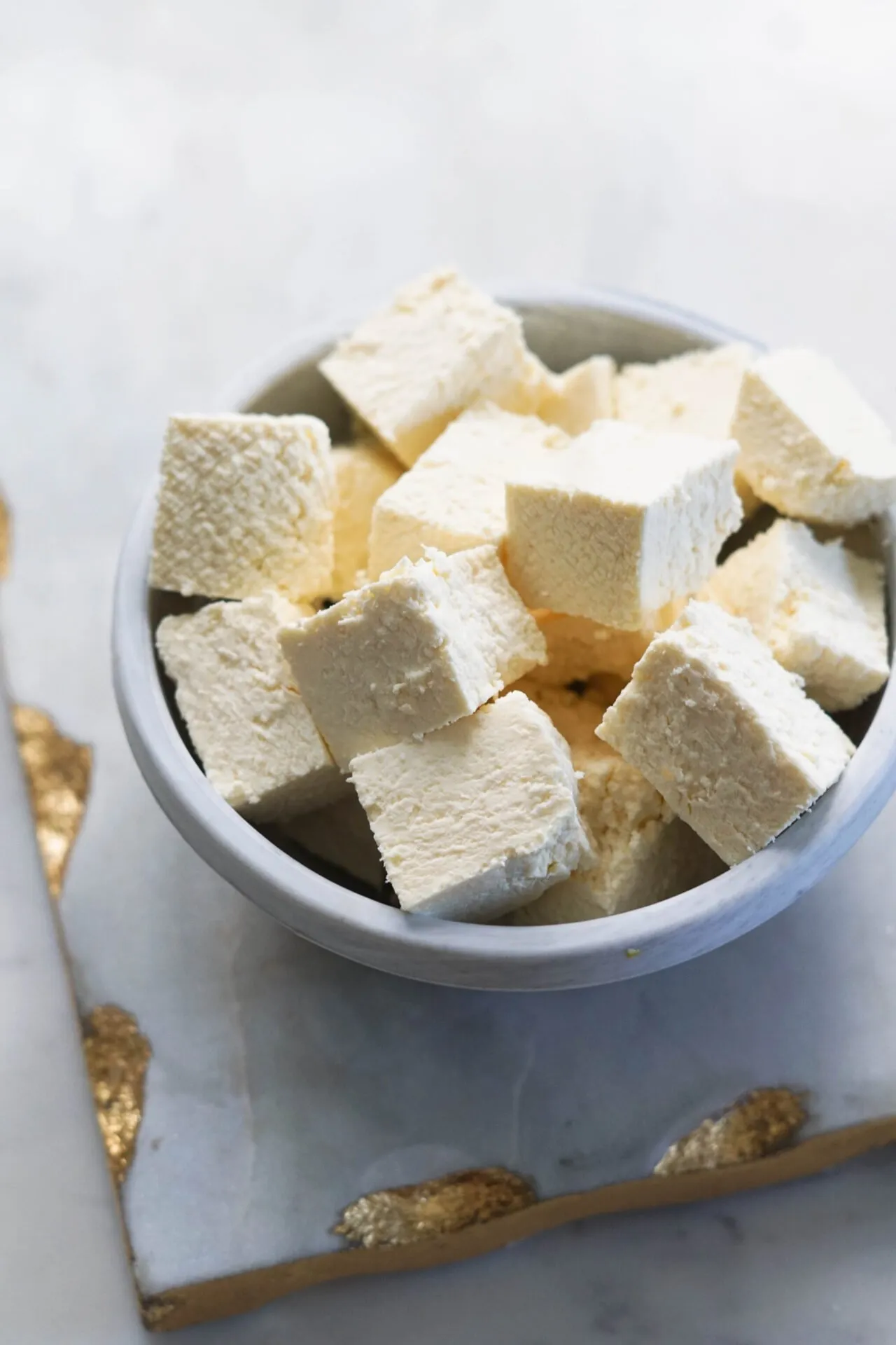 Instant Pot Paneer Indian Soft Cheese