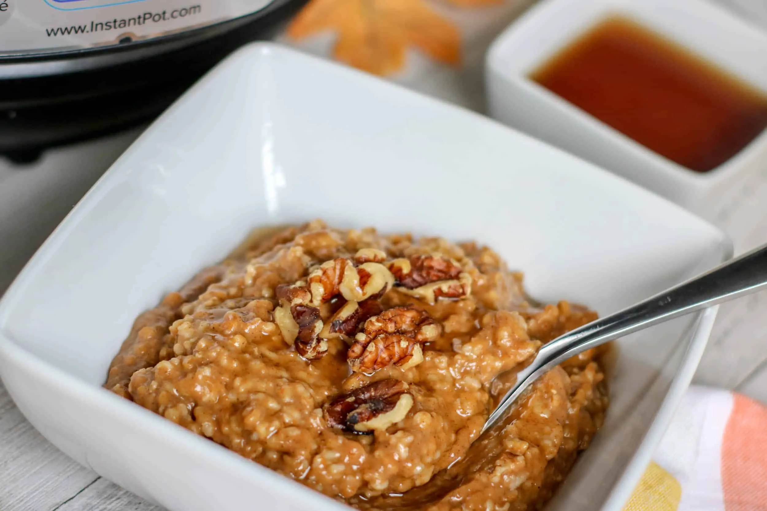 Instant Pot Pumpkin Oatmeal