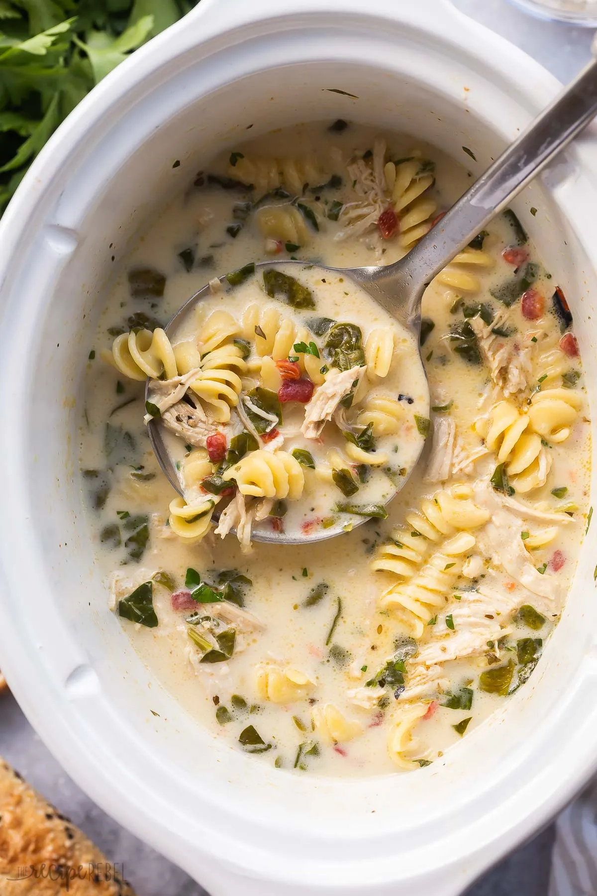 Italian Curly Chicken Noodle Soup