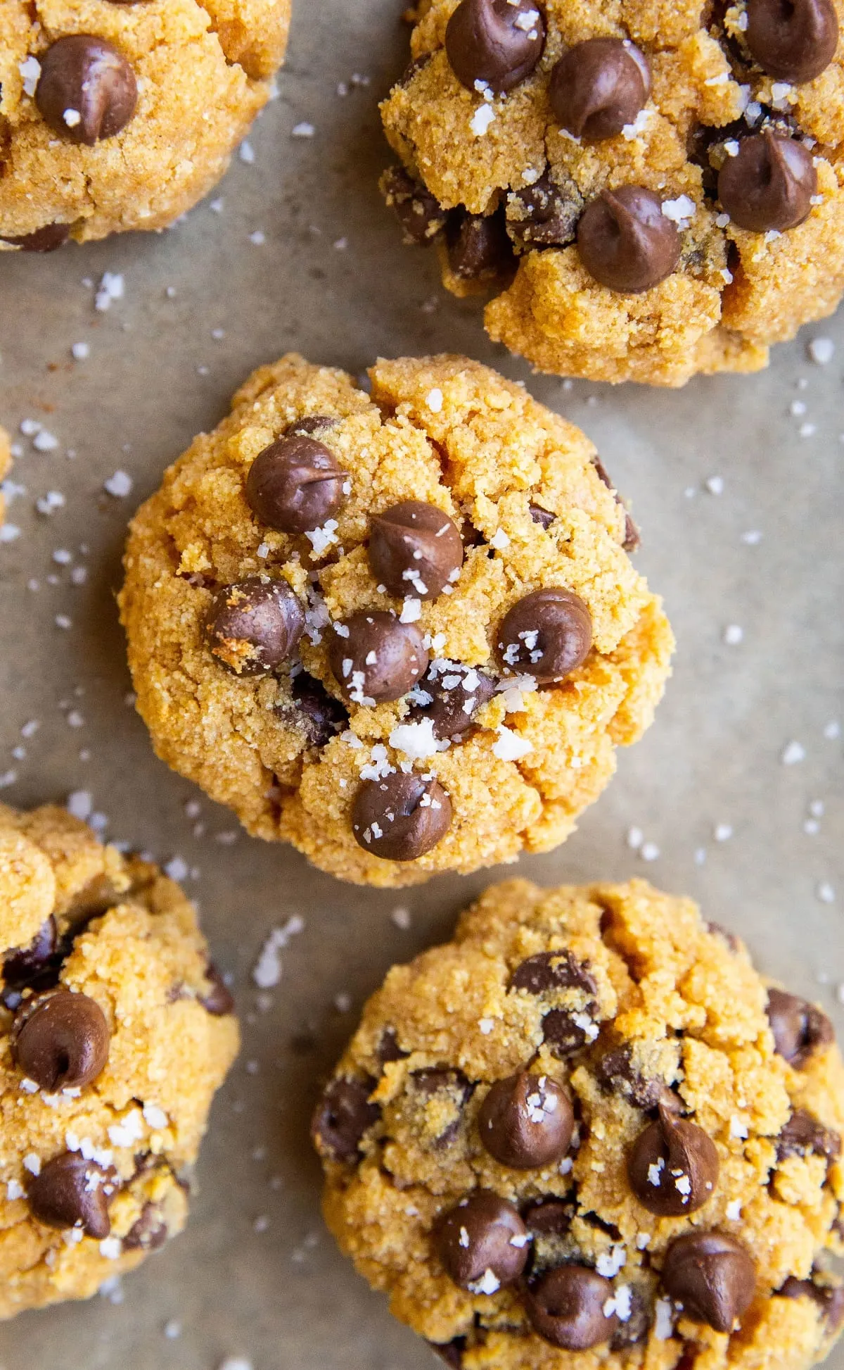Keto Pumpkin Chocolate Chip Cookies