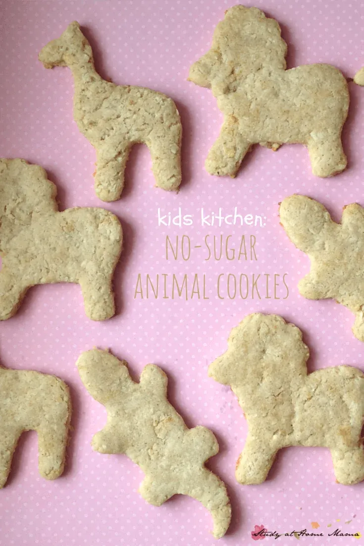 Kids Kitchen No Sugar Animal Cookies