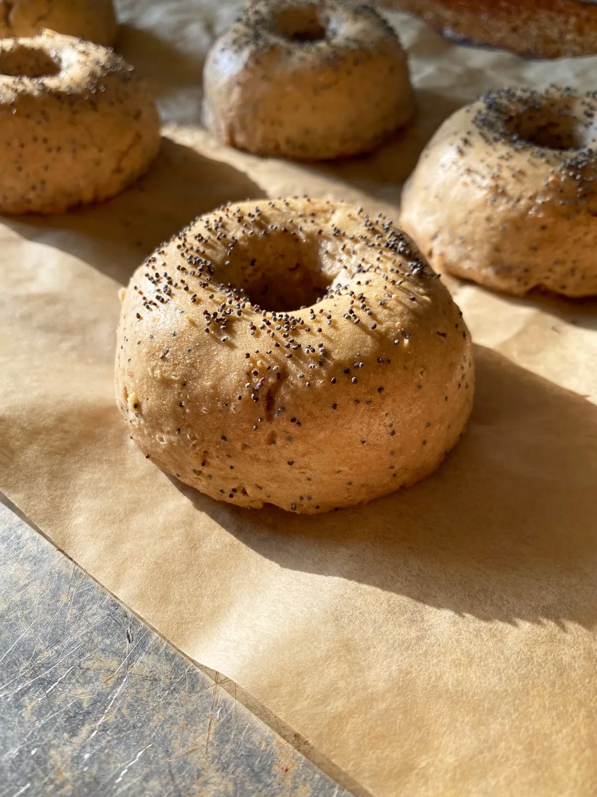 Lemon Poppy Seed Sprouted Wheat Bagels