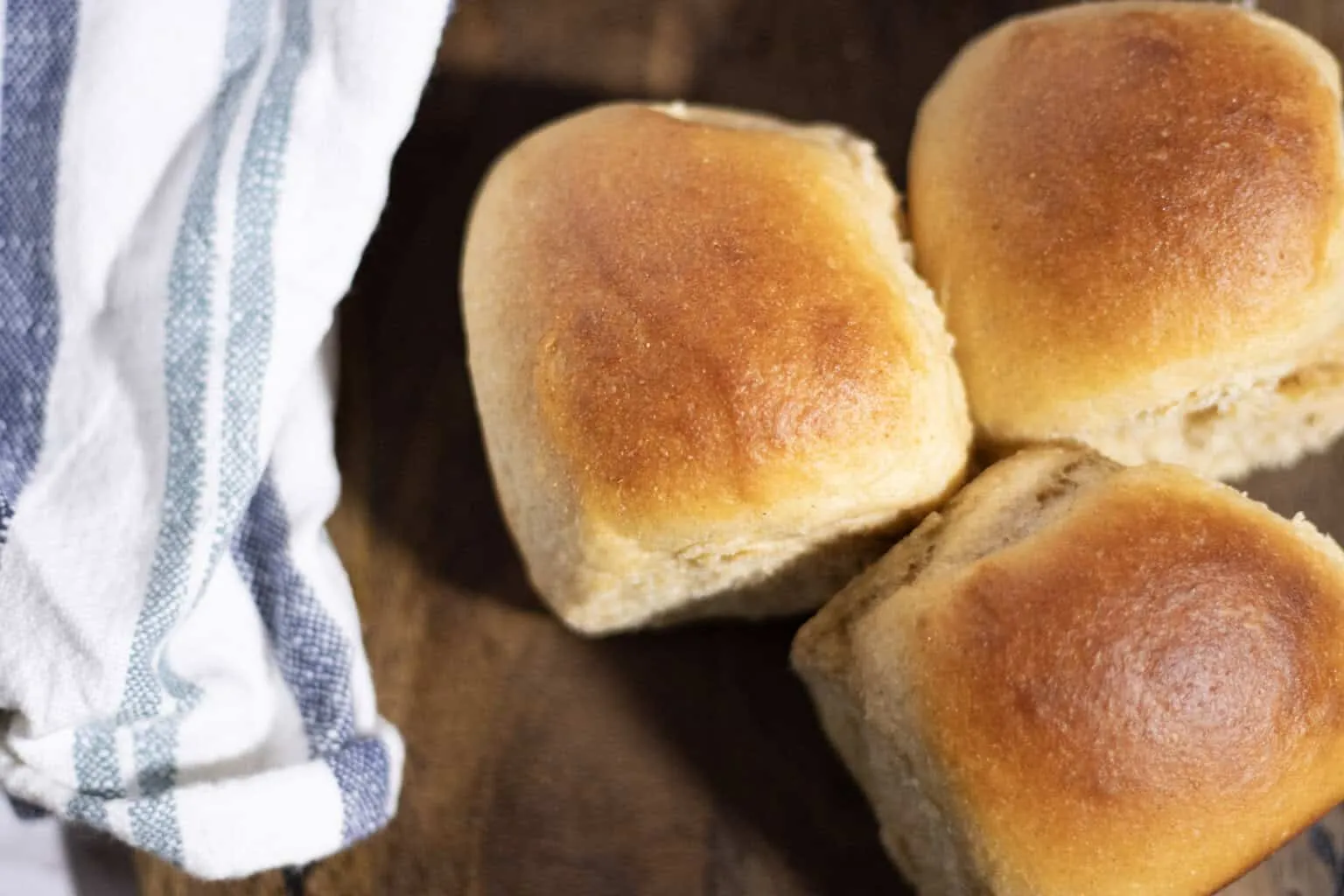 Milk Kefir Dinner Rolls