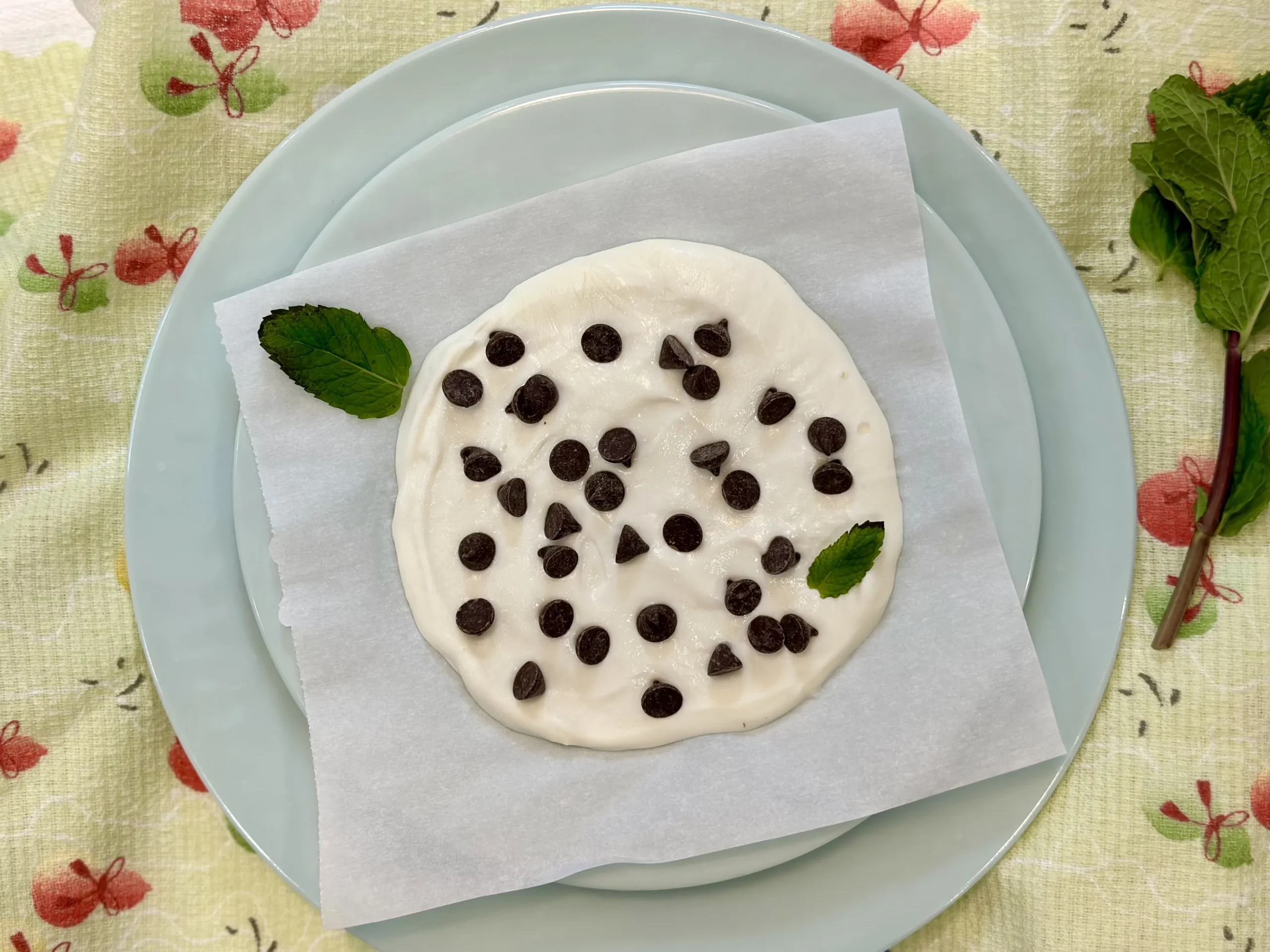 Mint Chip Frozen Yogurt