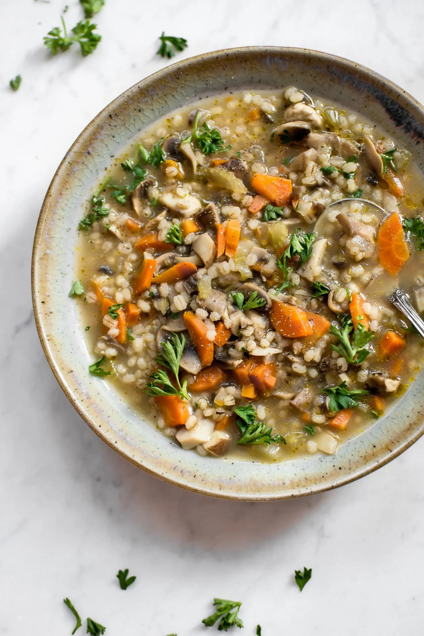 Mushroom Veg Barley Soup