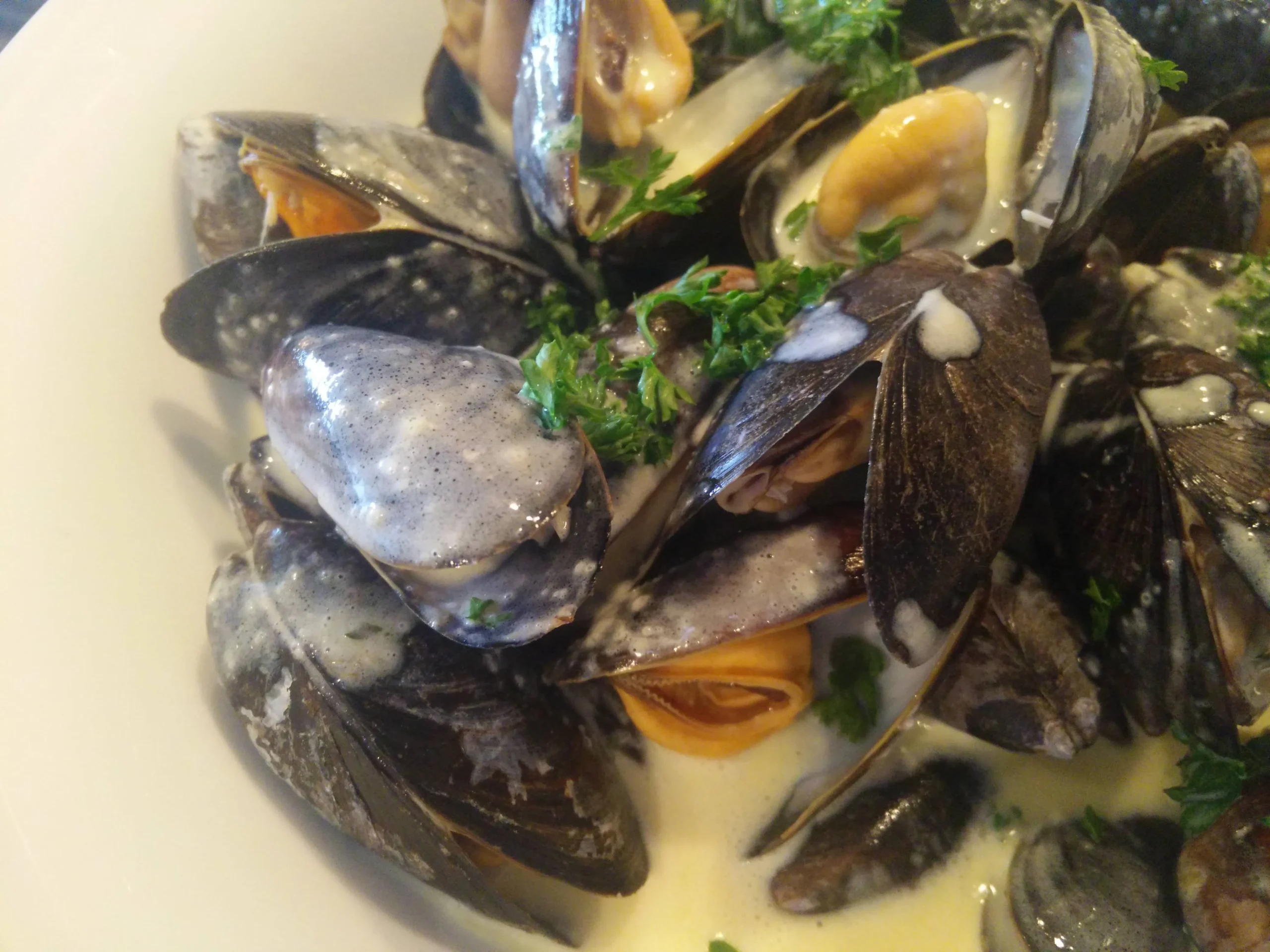 Mussels in Cream Sauce (Garlic and Lemon)