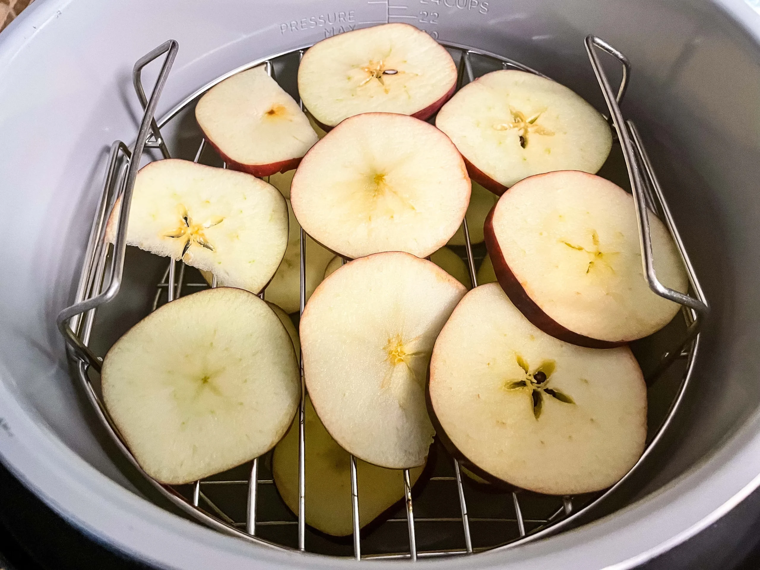 Ninja Foodi Apple Chips Dehydrated