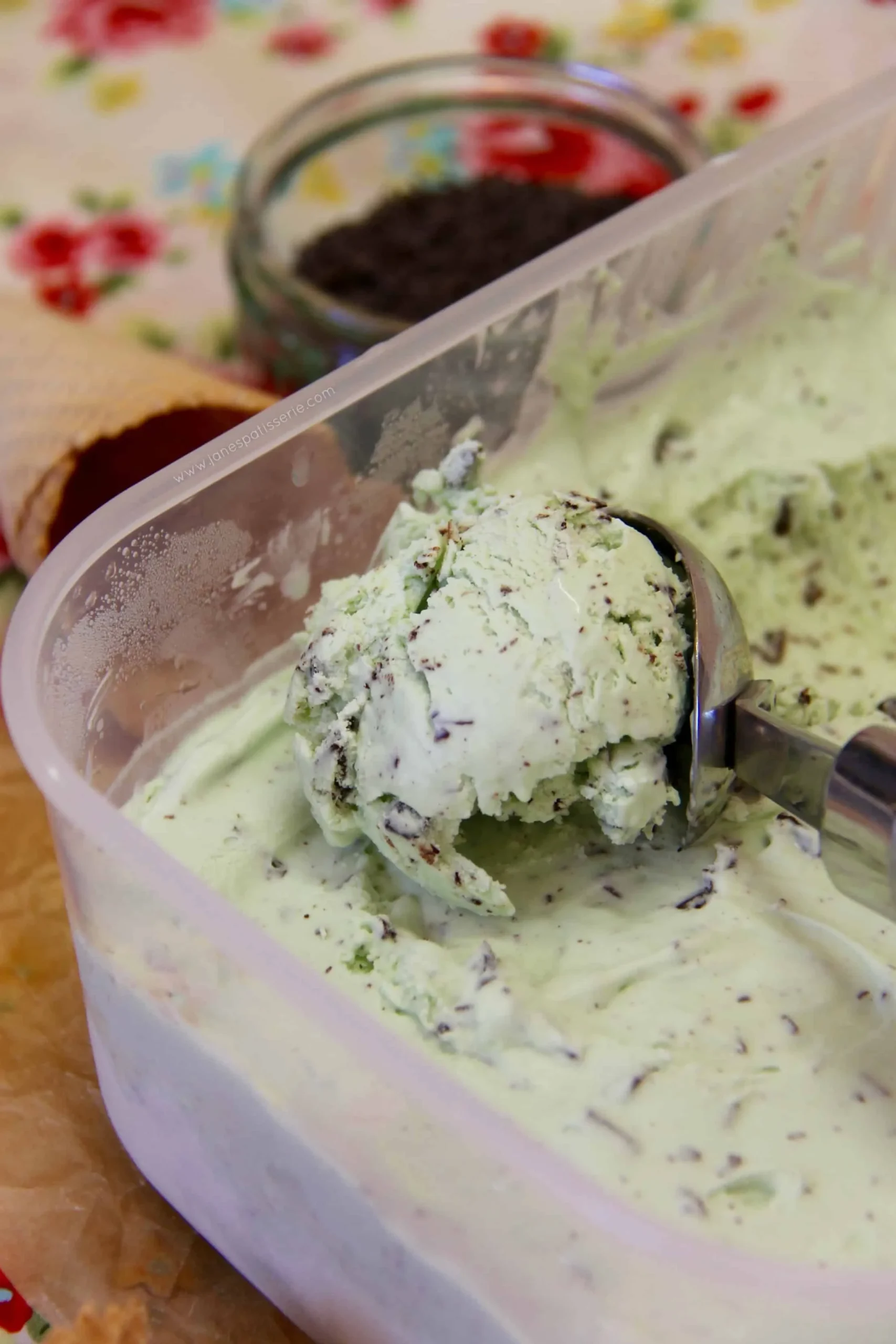 No Churn Junior Mint Chocolate Ice Cream