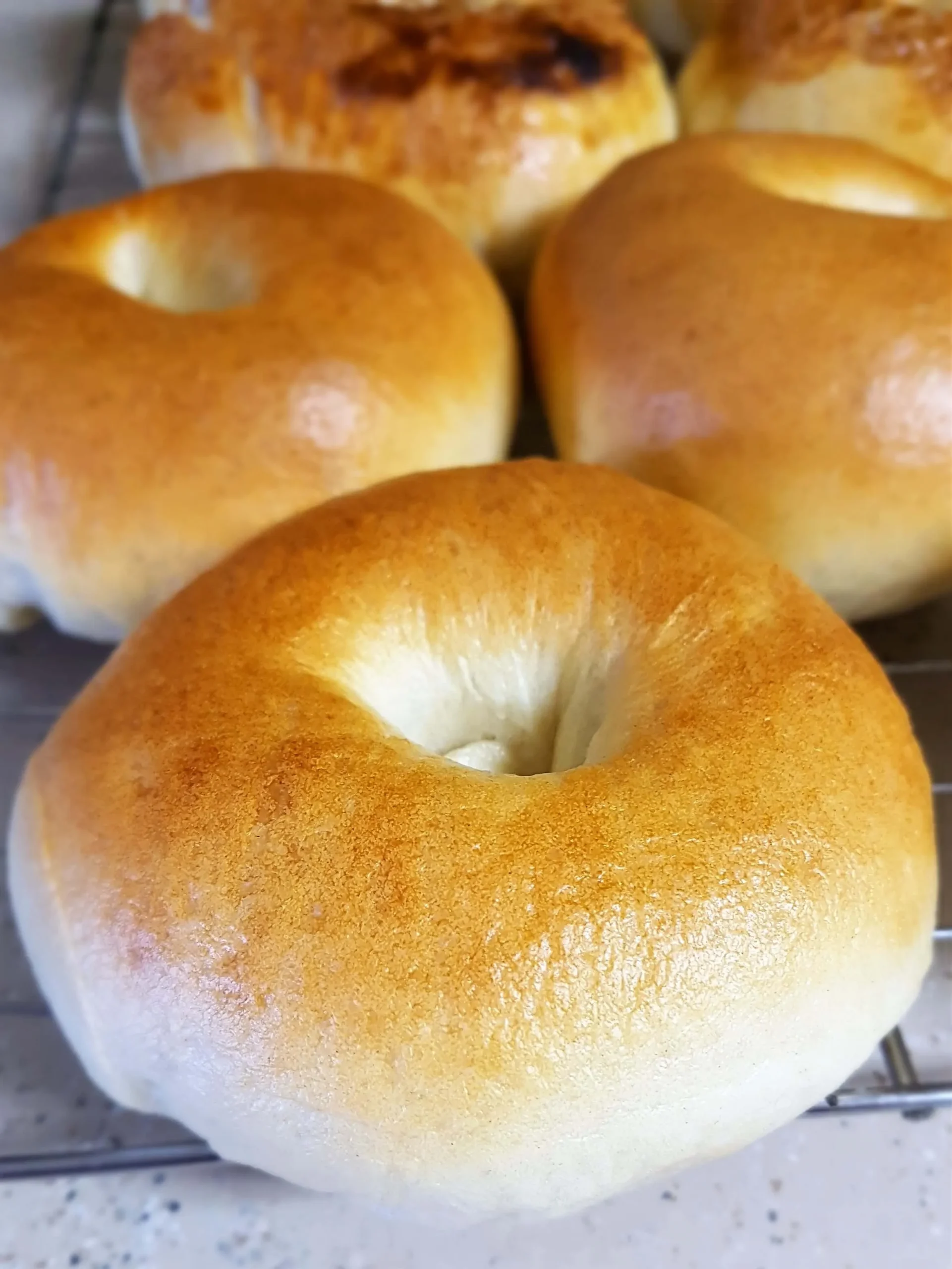 No Fat Bagels for Bread Machine