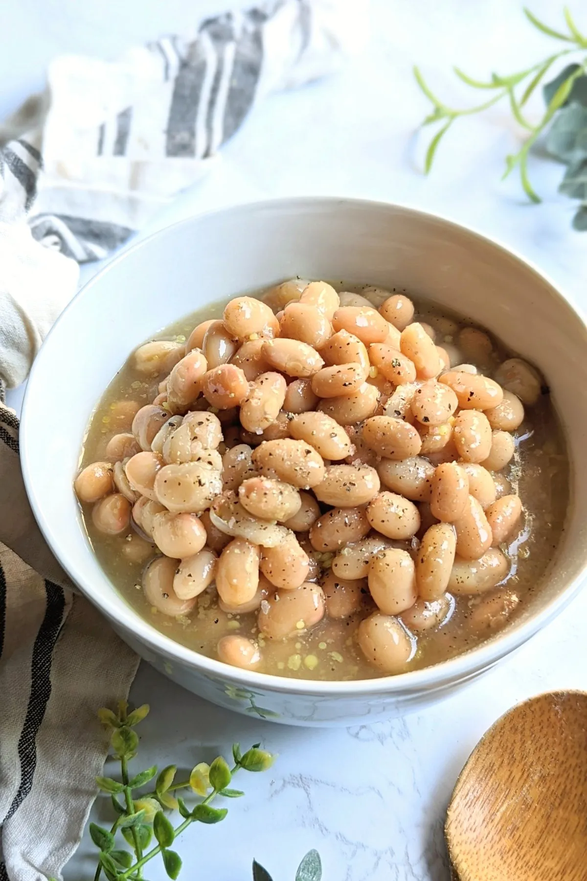 No Soak Instant Pot Beans